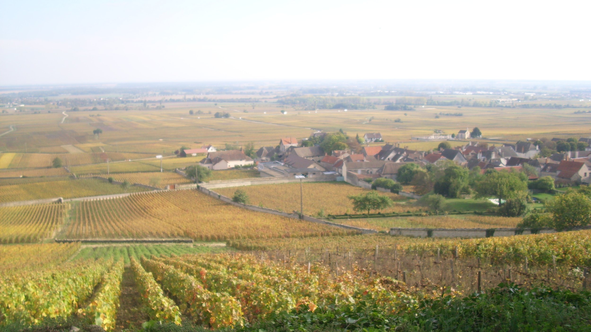 Volnay