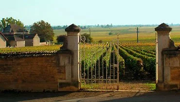 vignes-follin-arbelet.jpg