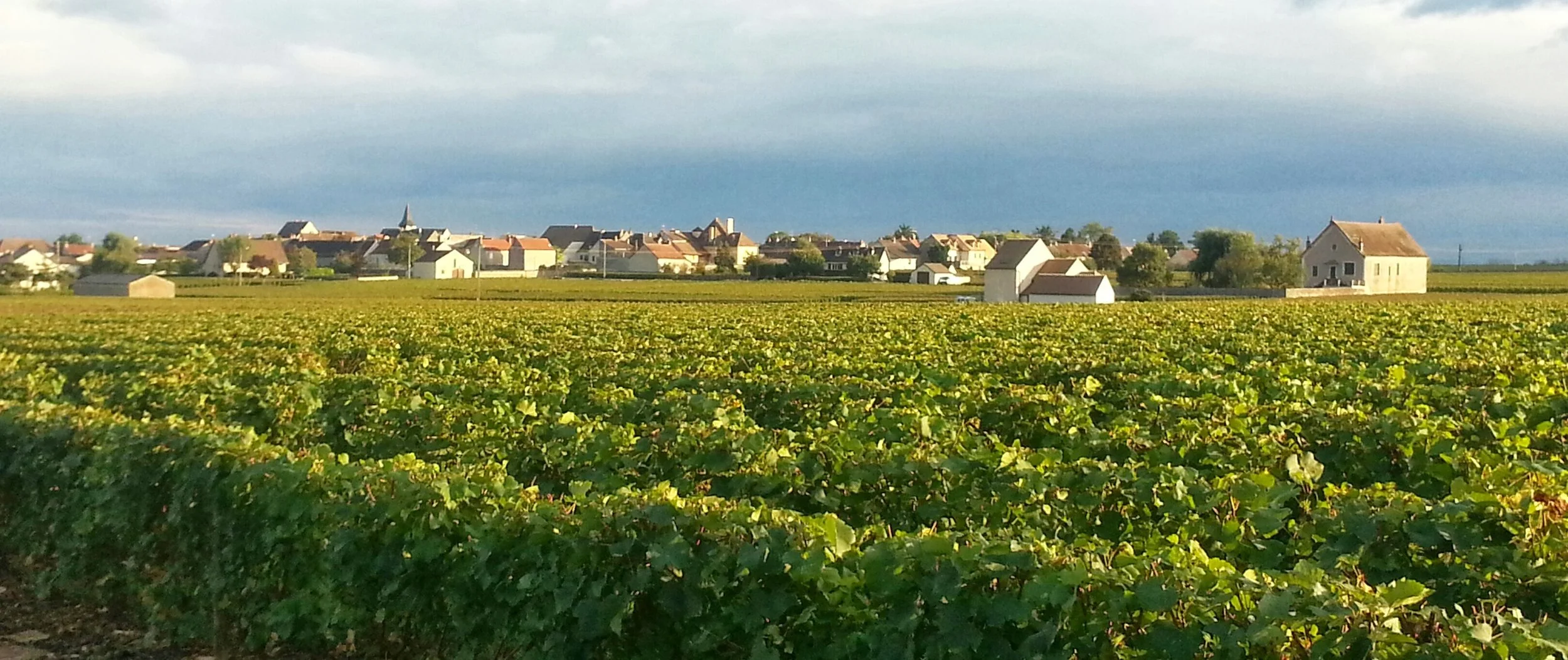 Puligny-Montrachet