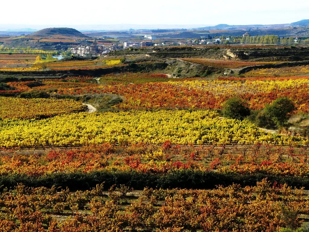 Ribera Del Duero