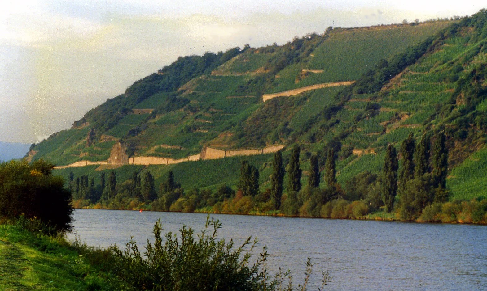 Mosel