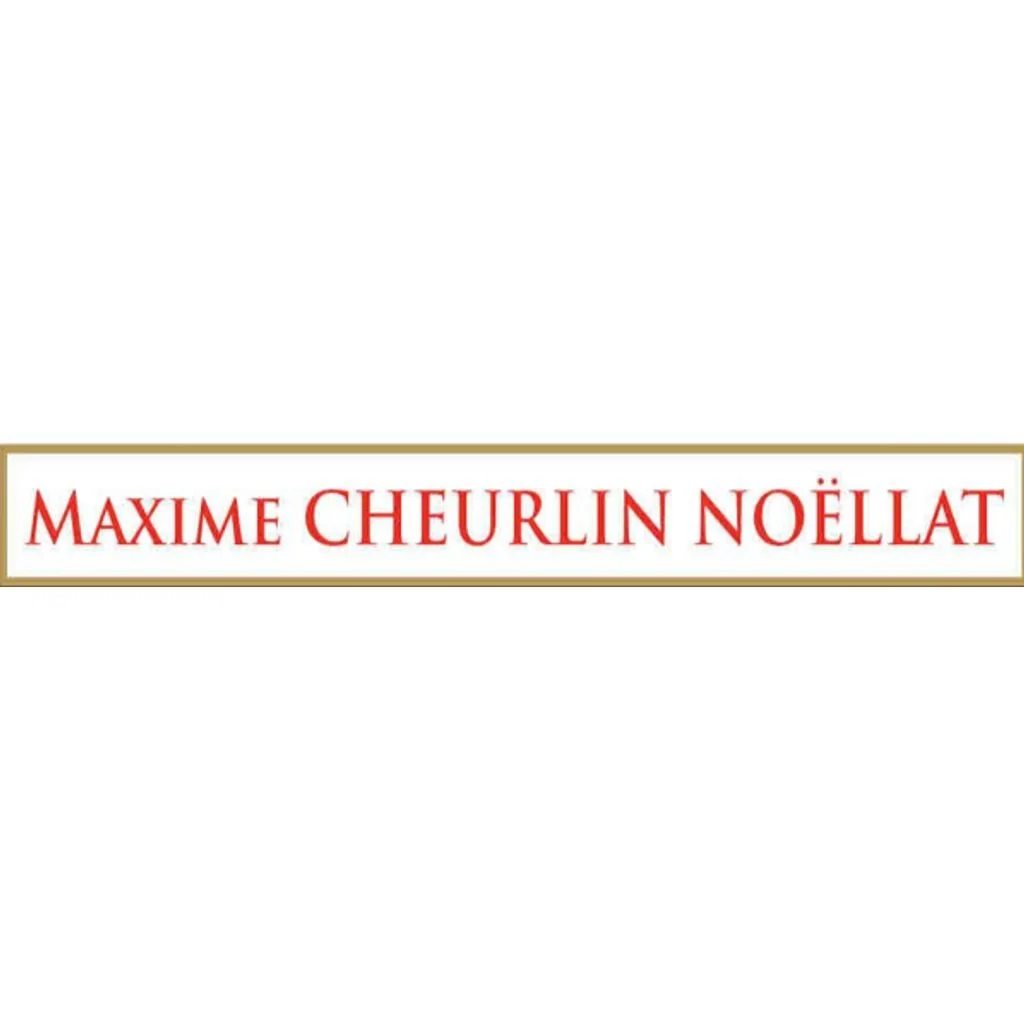 Maxime Cheurlin Noëllat