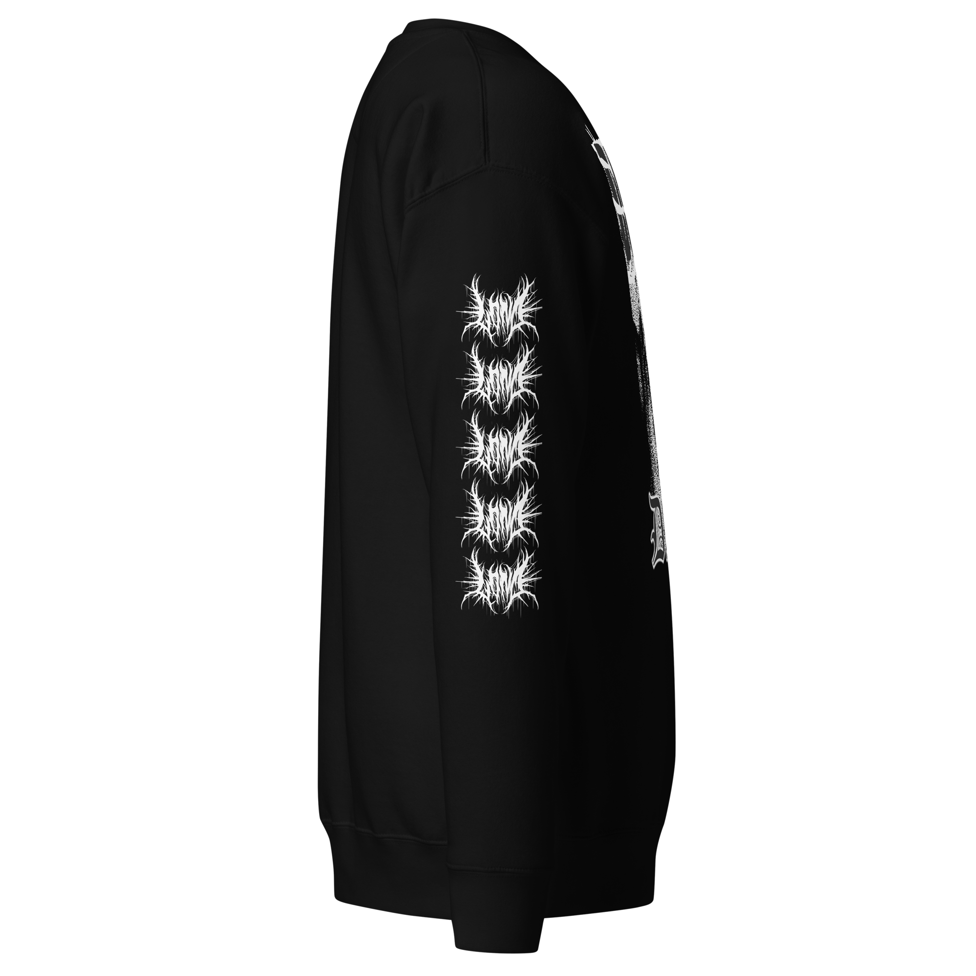unisex-premium-sweatshirt-black-right-67bf754203acb.png
