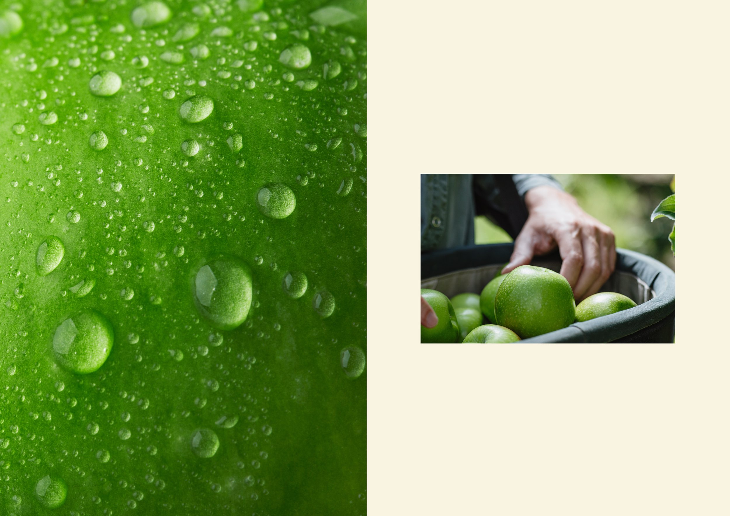 UNO_MRAPPLE_Case_Study_D115.jpg