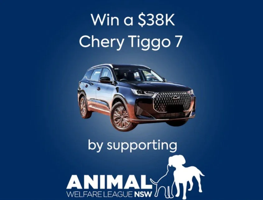 Animal Welfare League 06