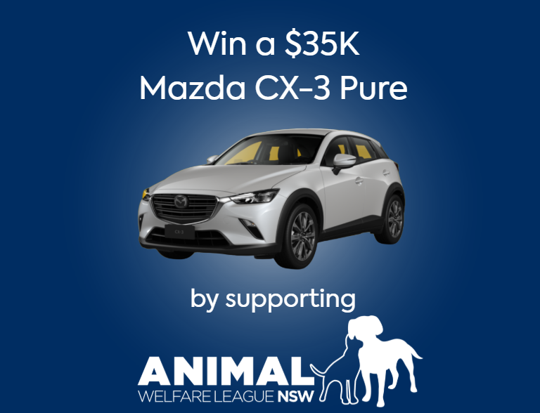 Animal Welfare League Raffle 06