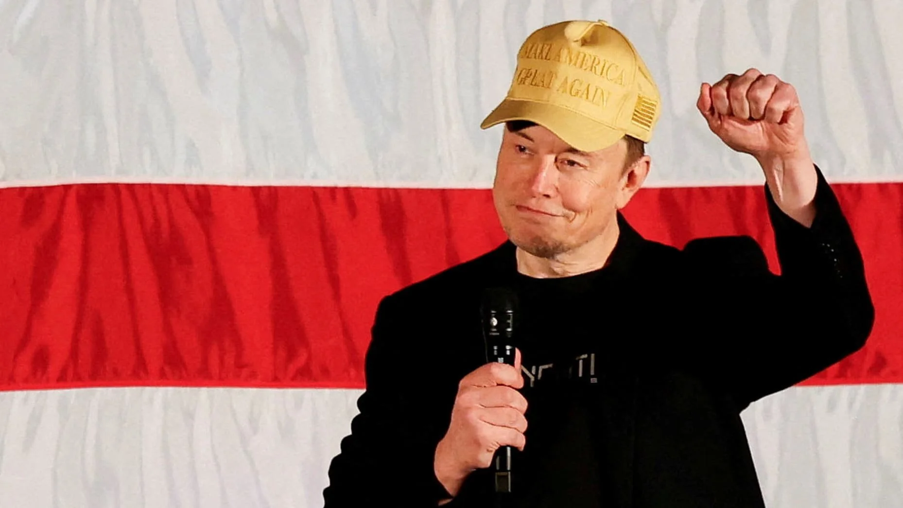 Elon Musks $1 Million Daily Giveaway Raises Questions before US election