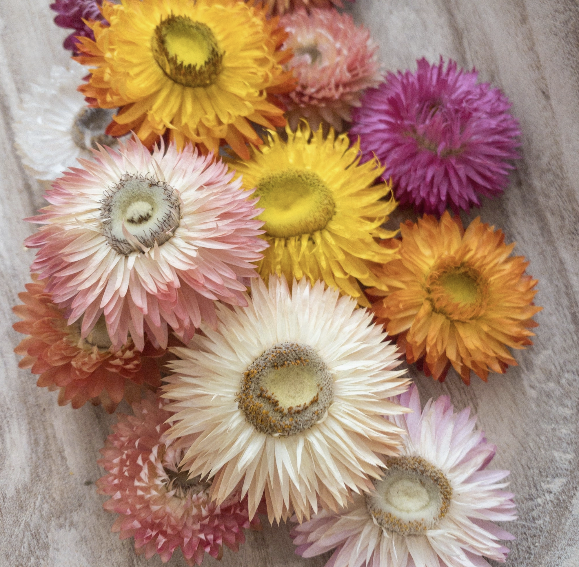 Screenshot 2025-11-28 at 6.14.58 pm.png