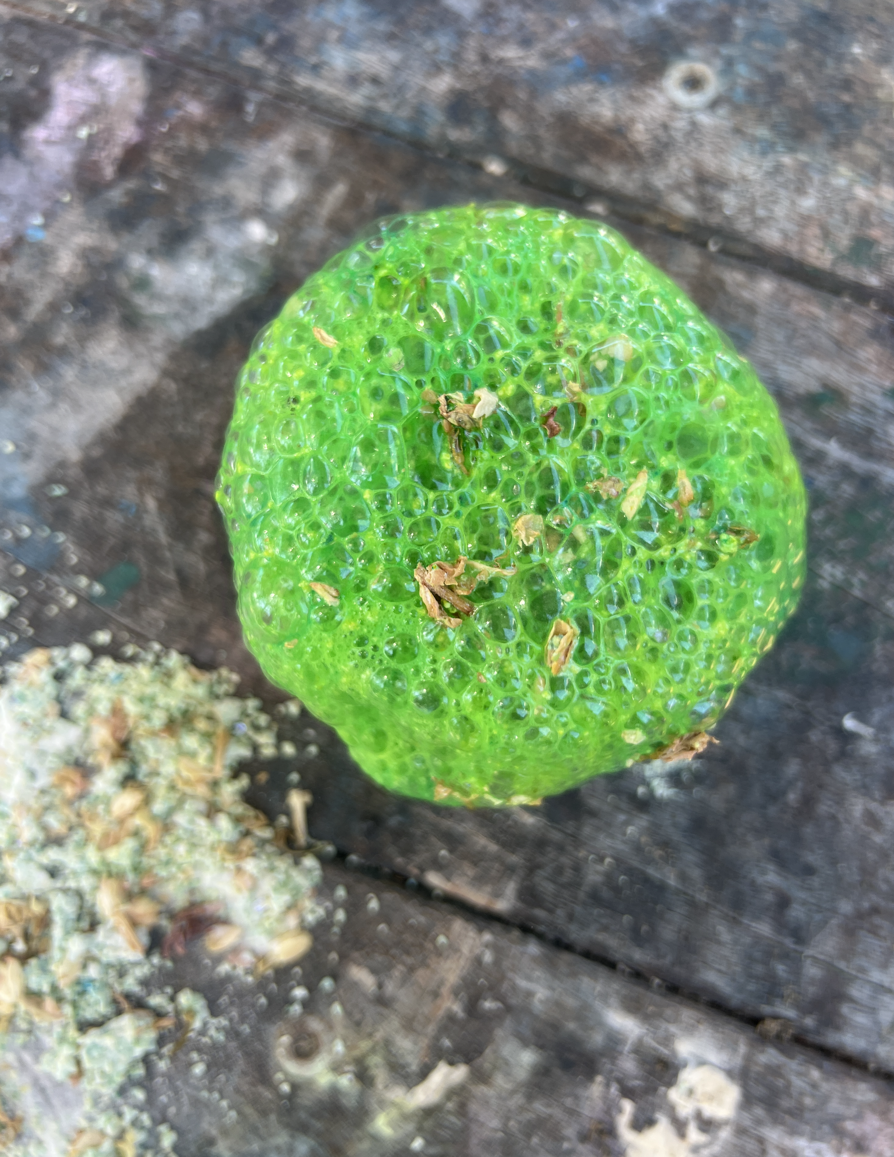 Screenshot 2025-12-06 at 10.34.02 am.png (Copy)