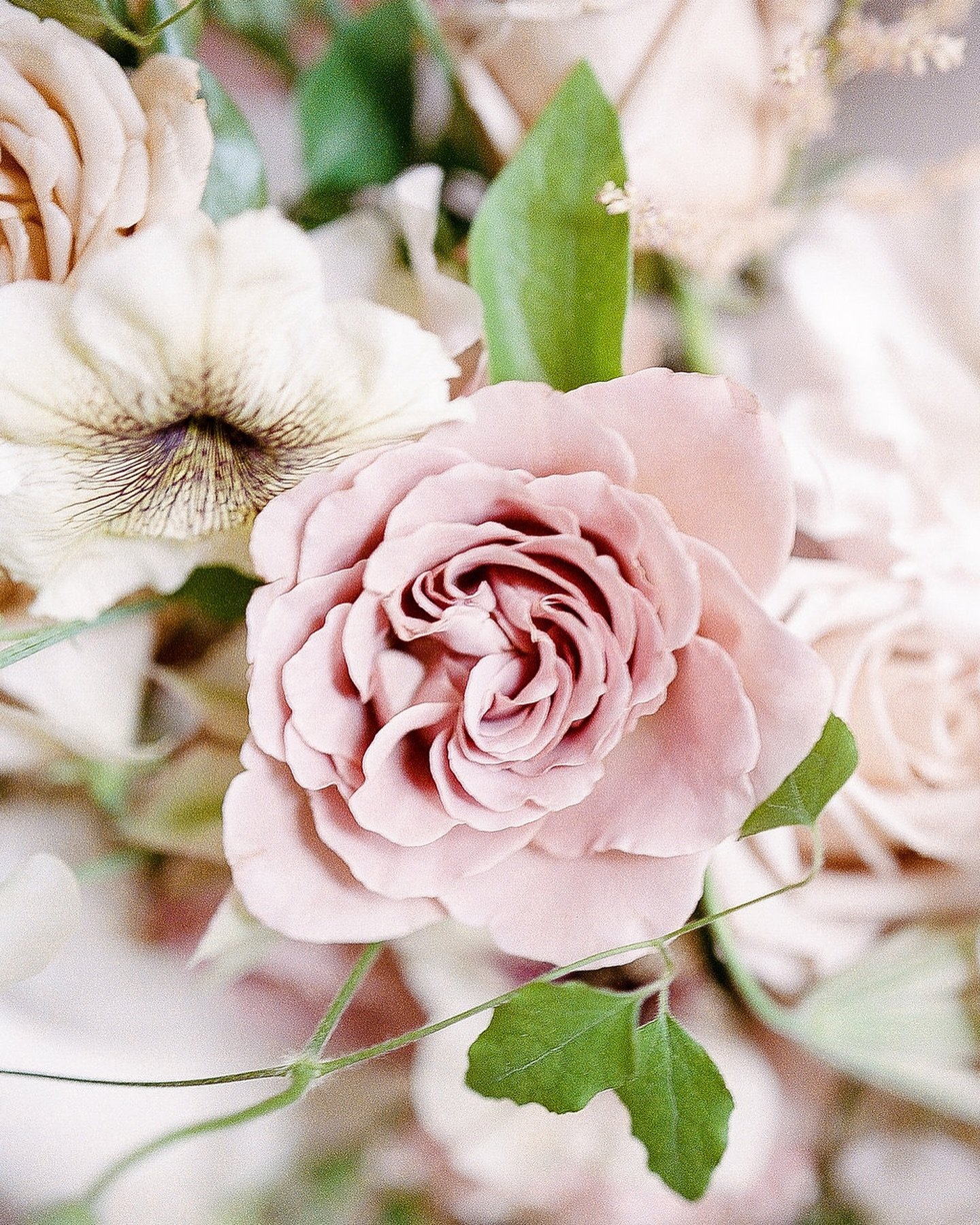 We love flowers, dont you? 
We also love sharing the work of vendors we respect. 💌 
Give some love to @floraisonparis @sisti.co @fleursdefee @les__ephemeres @kalebnormanjames 

☆☆☆

Photography by @harrietearnshaw, @carmensantorelliphoto, @joseph.ro