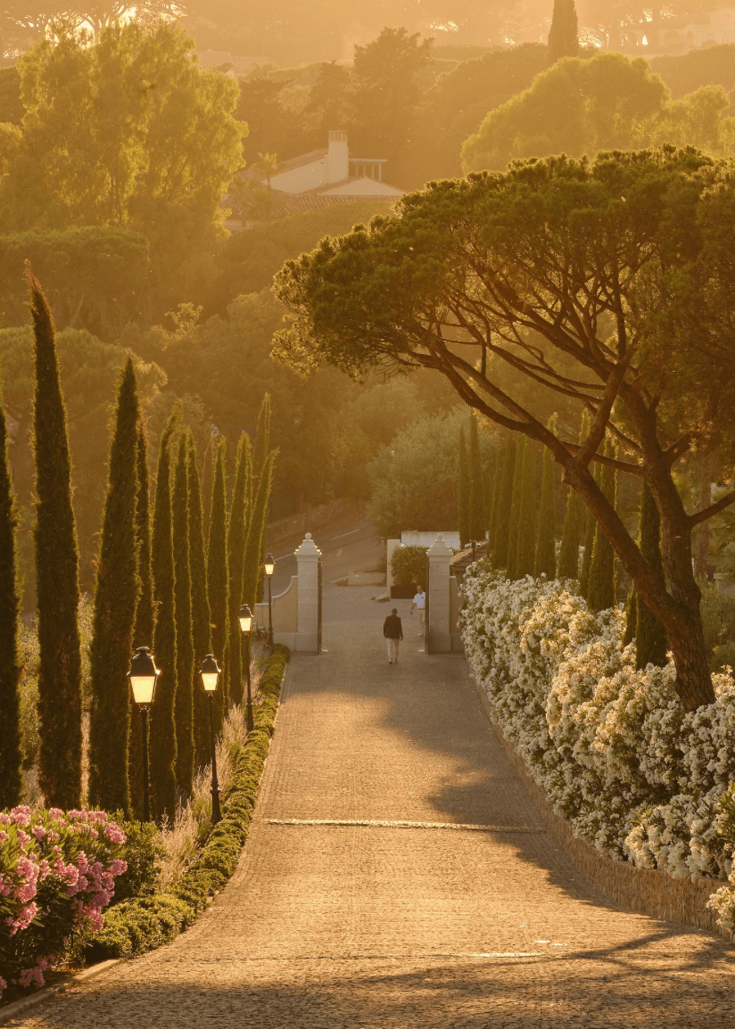 sunset dinner terrace chateau messardiere cote d'azur