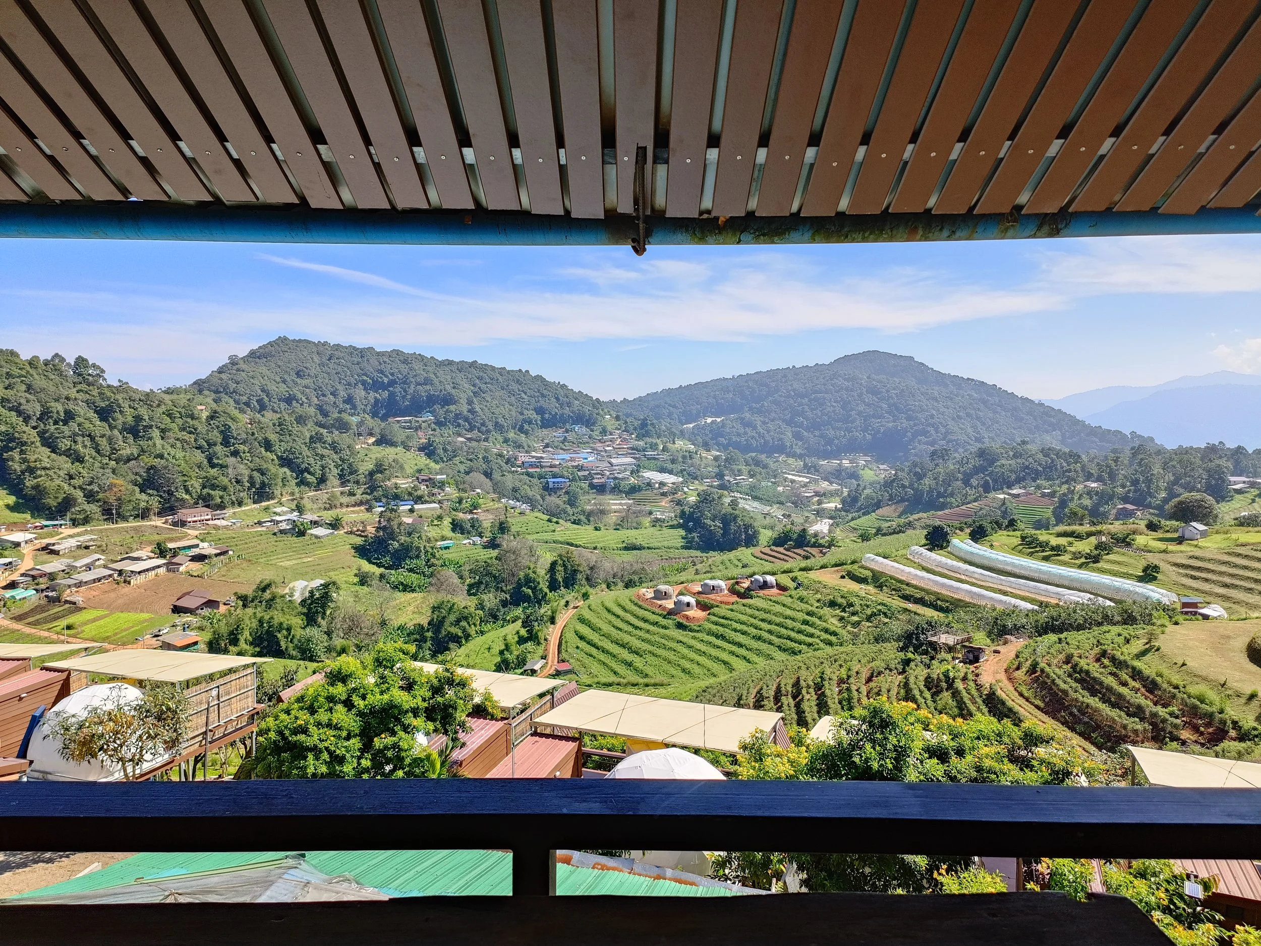 Paddy field mountain view chiang mai