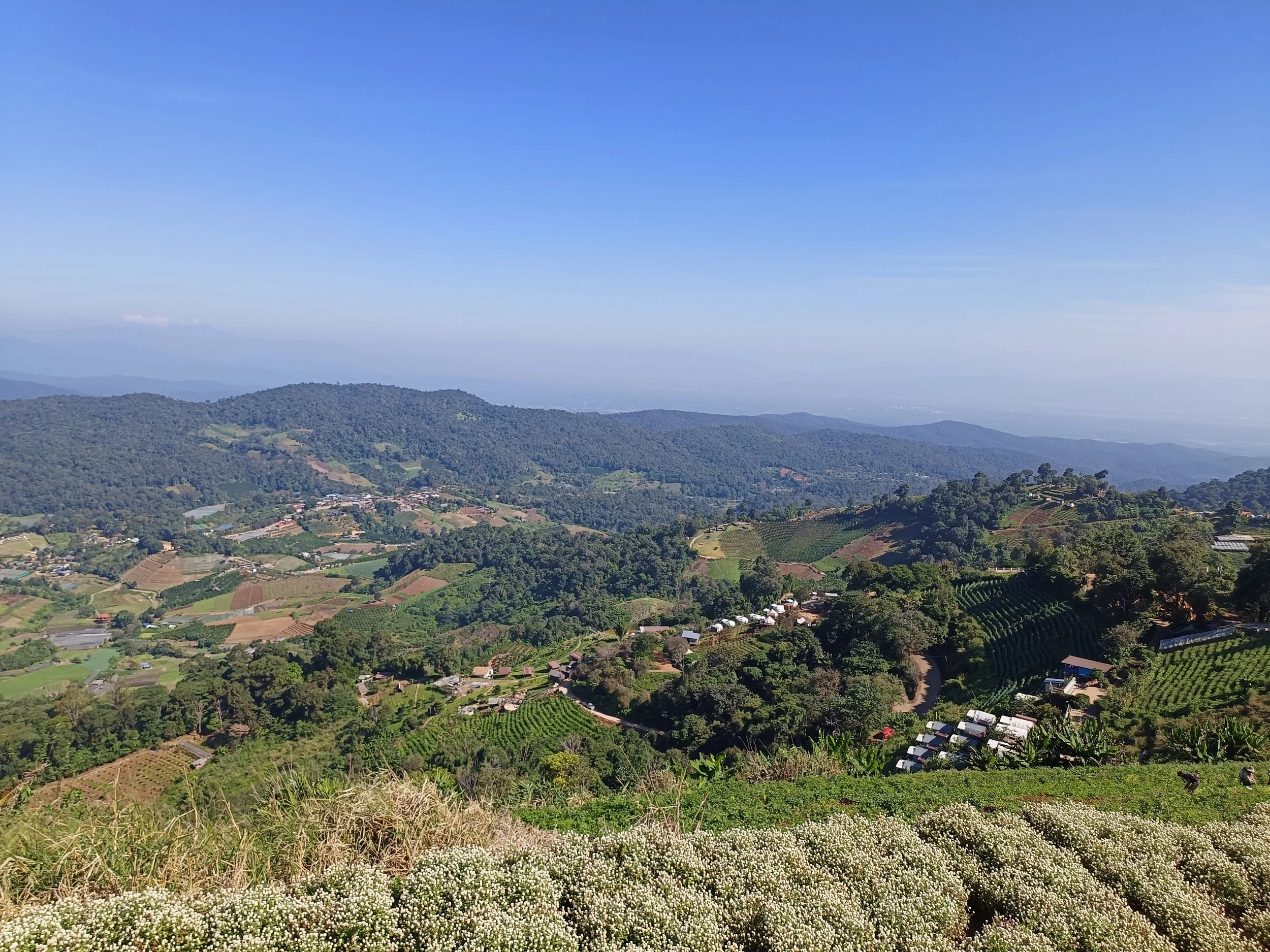 Paddy field mountain greenery view chiang mai