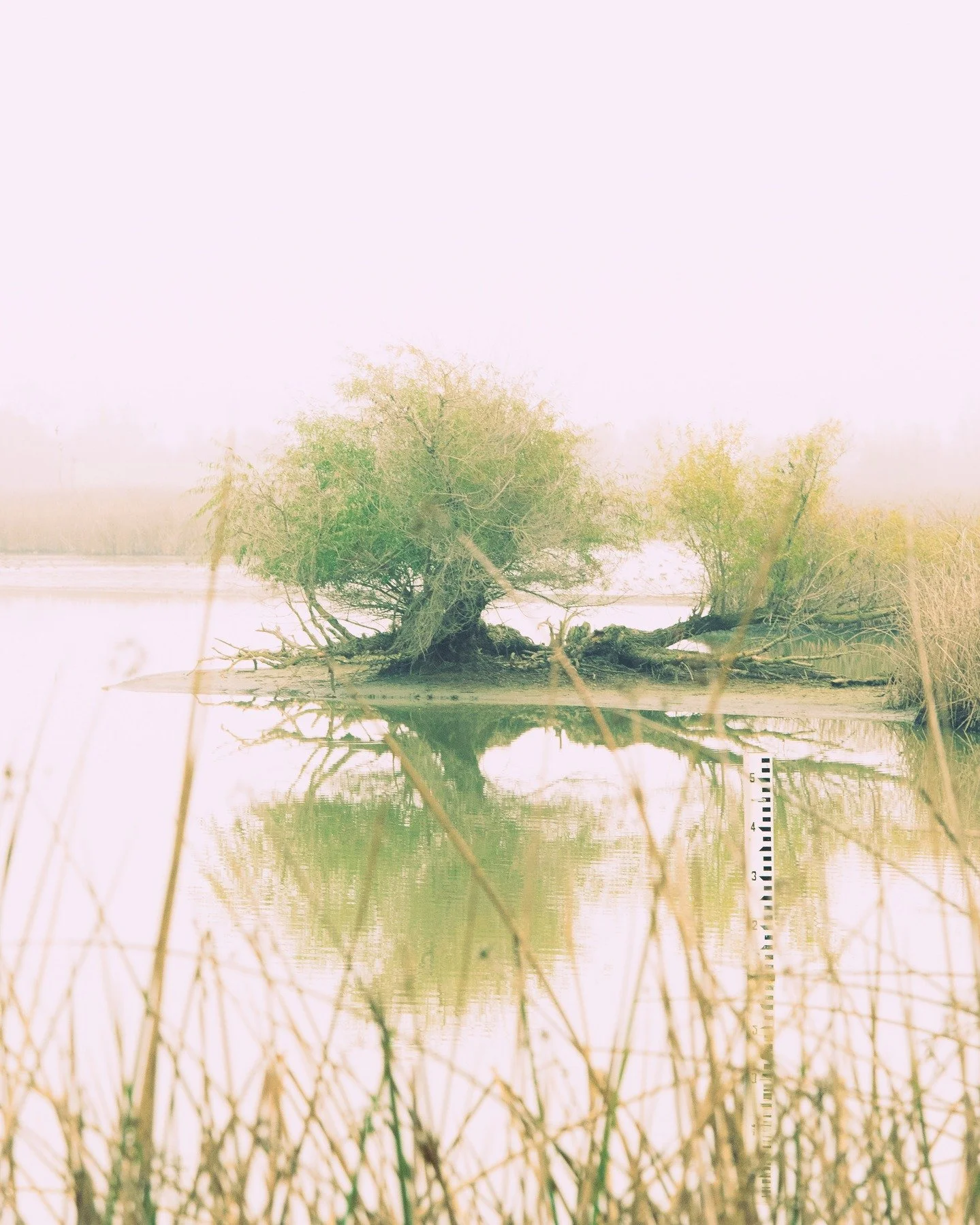 12_07_25 - Davis Wetlands Tour