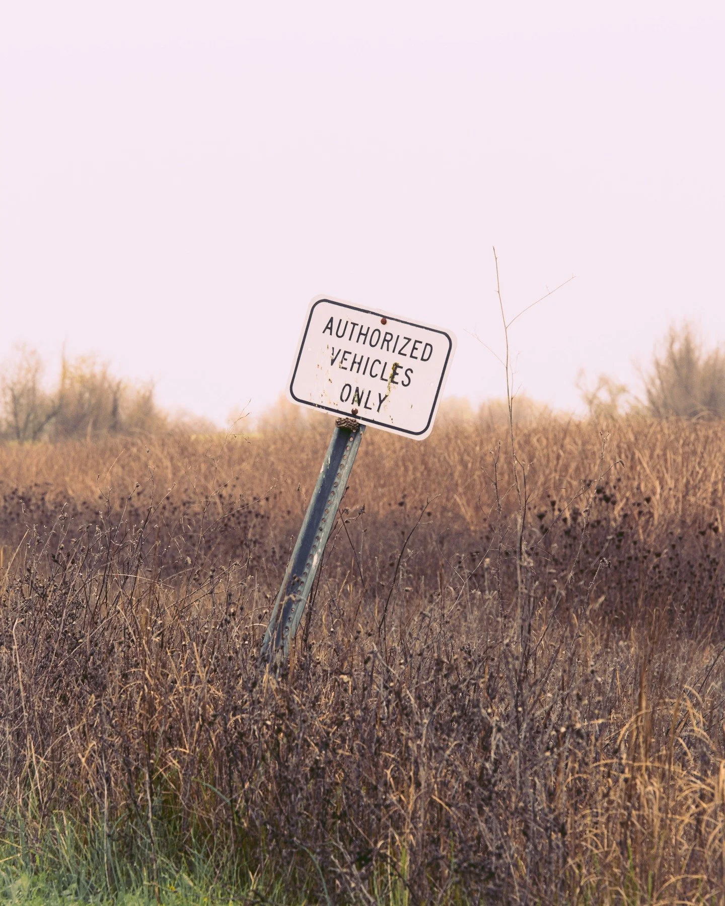 12_07_25 - Davis Wetlands Infrastructure