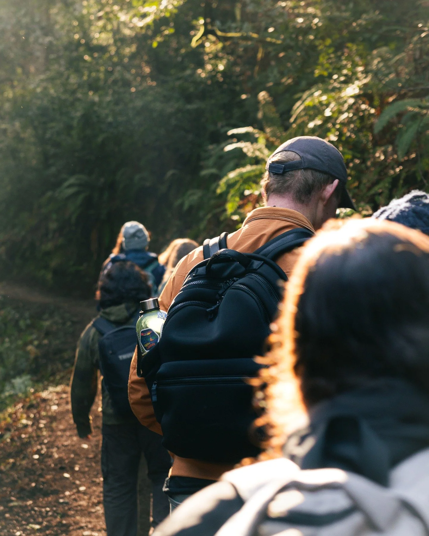 01_17_26 - Redwoods Walk Pt. I

@davisrewildingsociety