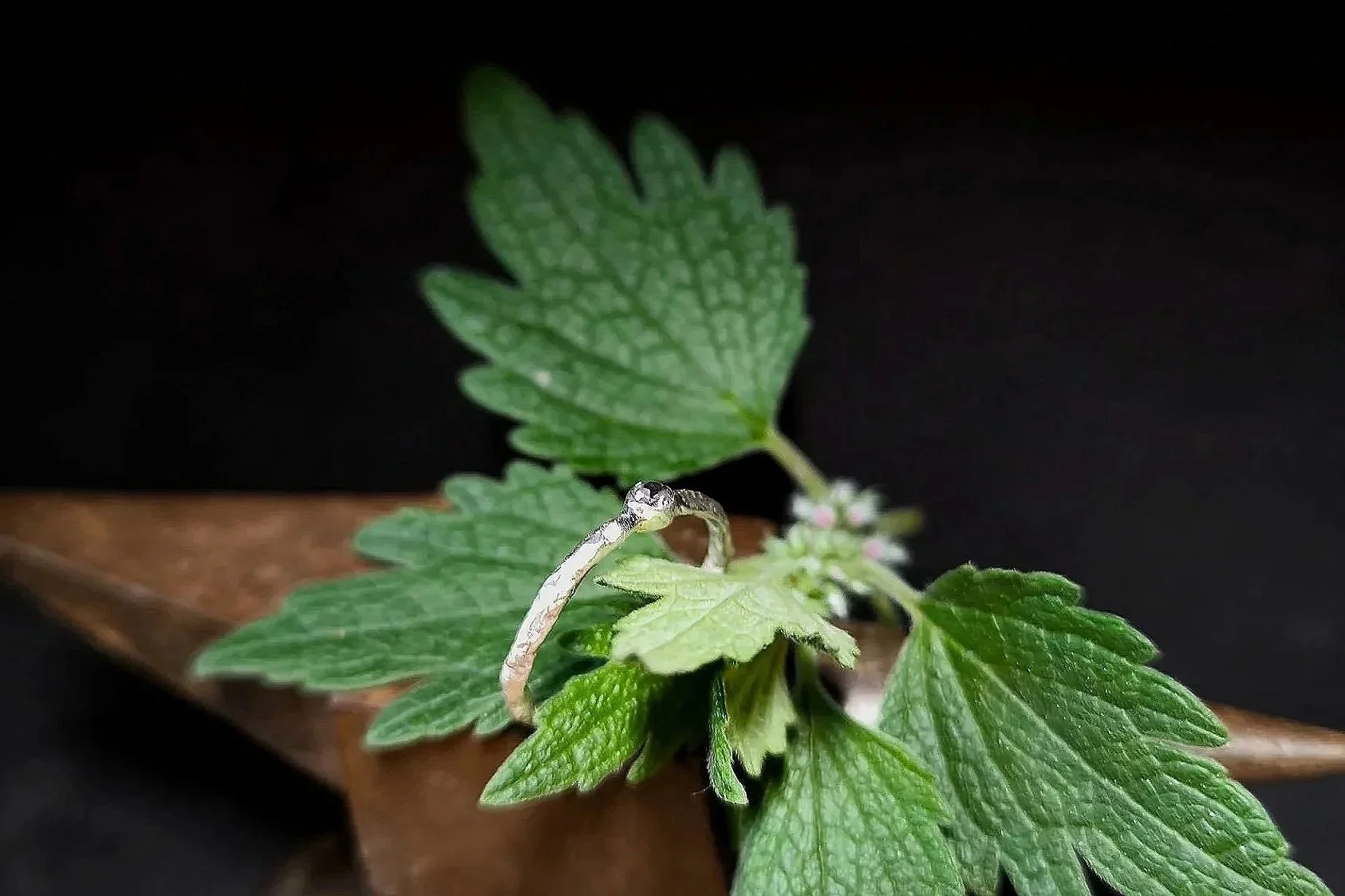 Angeschmolzener Silberring mit Zirkonia, Janet Schmock