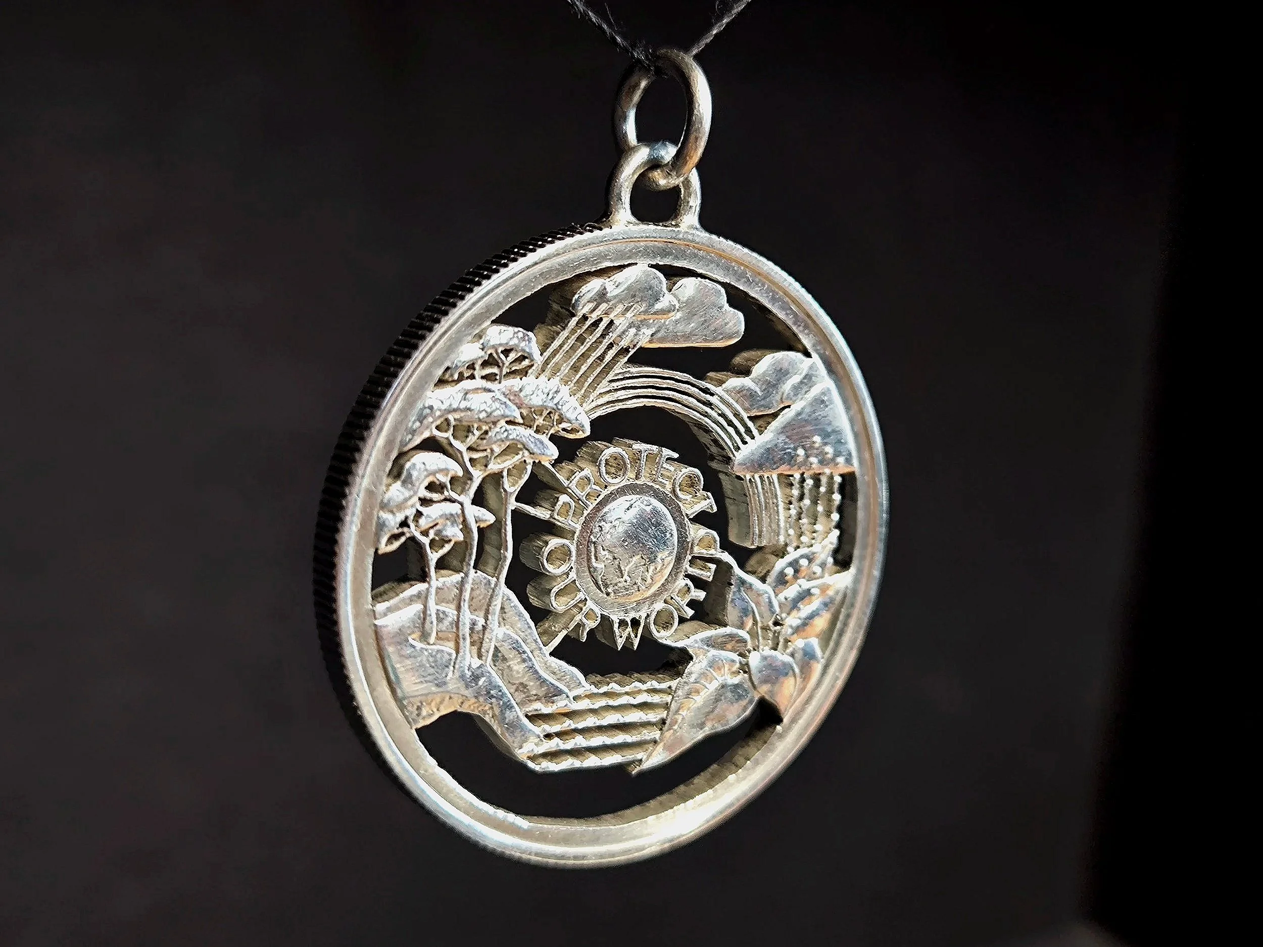 Protect our world, Kettenanhänger, Silbermünze