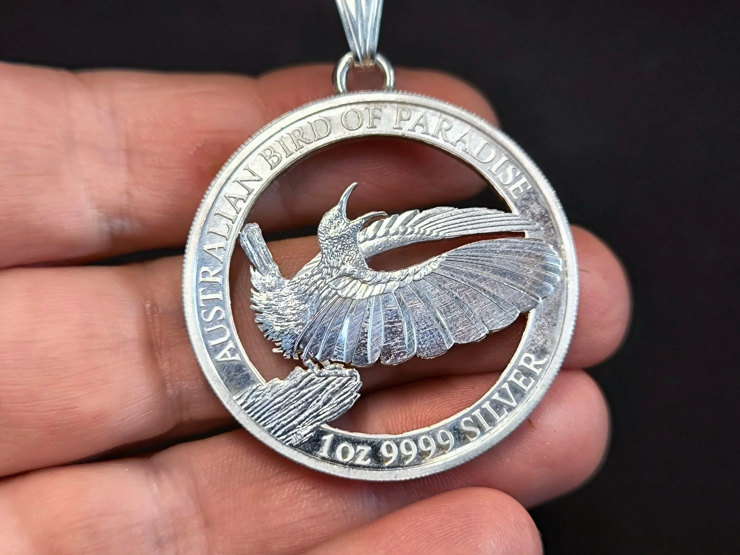 Münze, Paradiesvogel, Silberunze, Kettenanhänger,