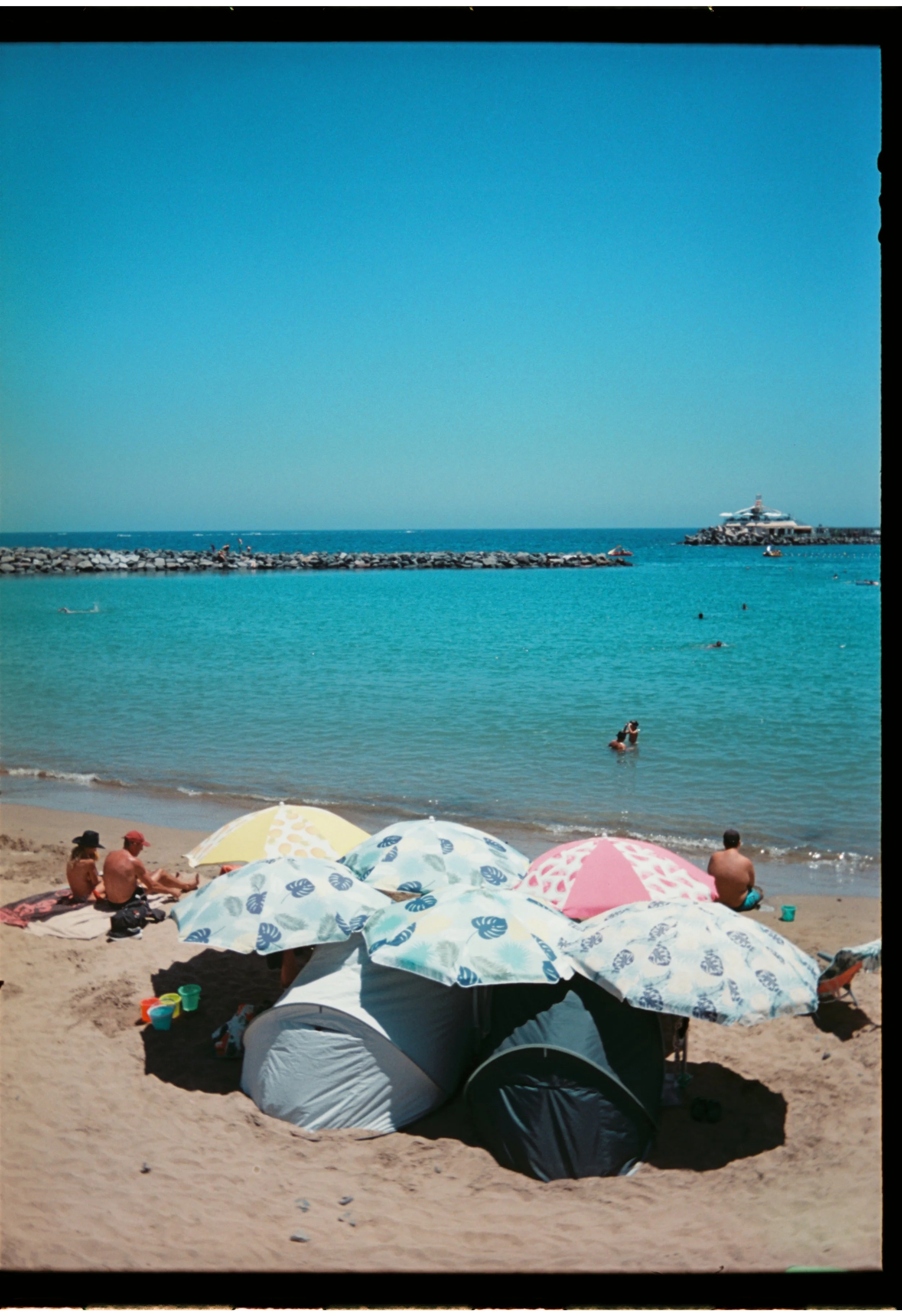 Low IQ - 8 - Mogan, 2024