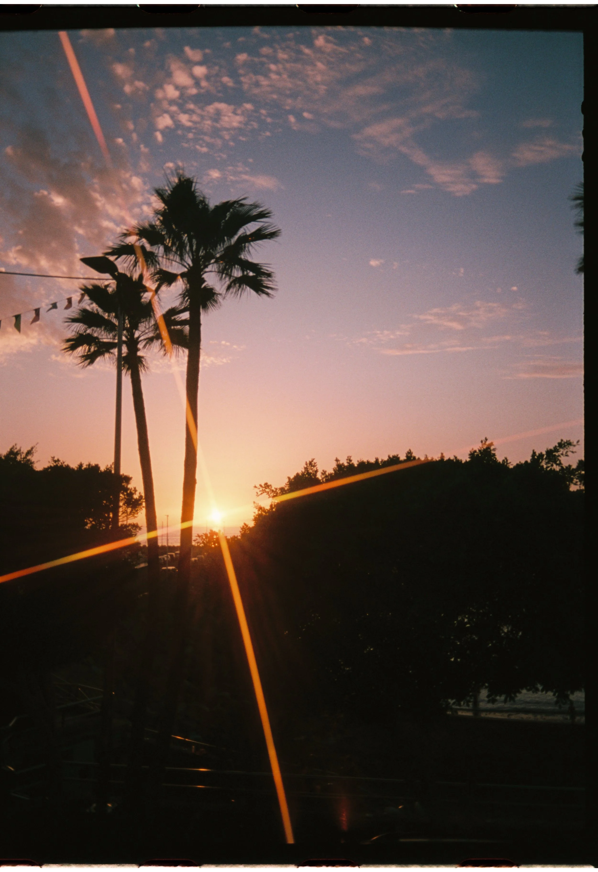 Low IQ - 12 - Arguineguin, 2024