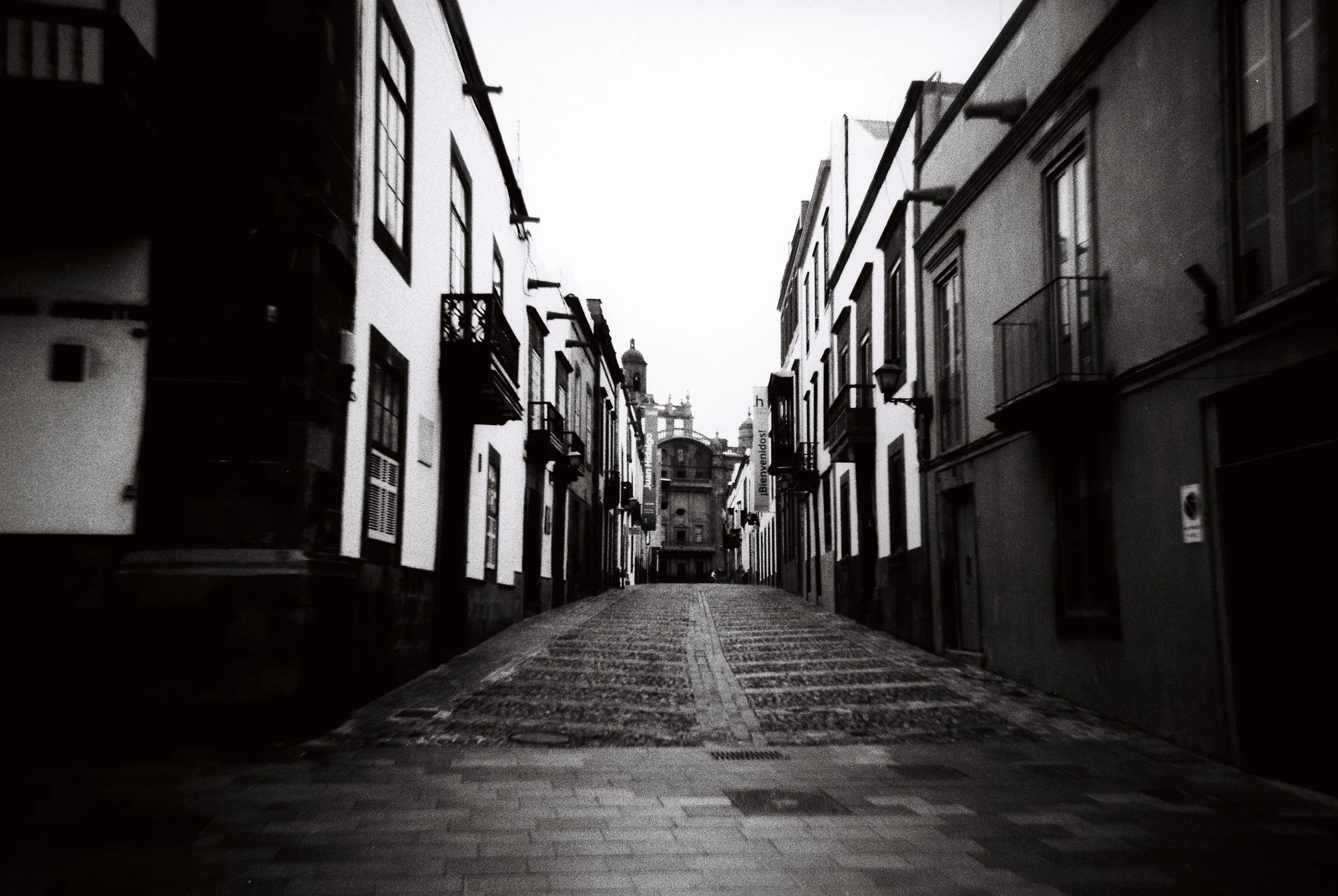 Low IQ - 11 - Las Palmas de Gran Canaria, 2024