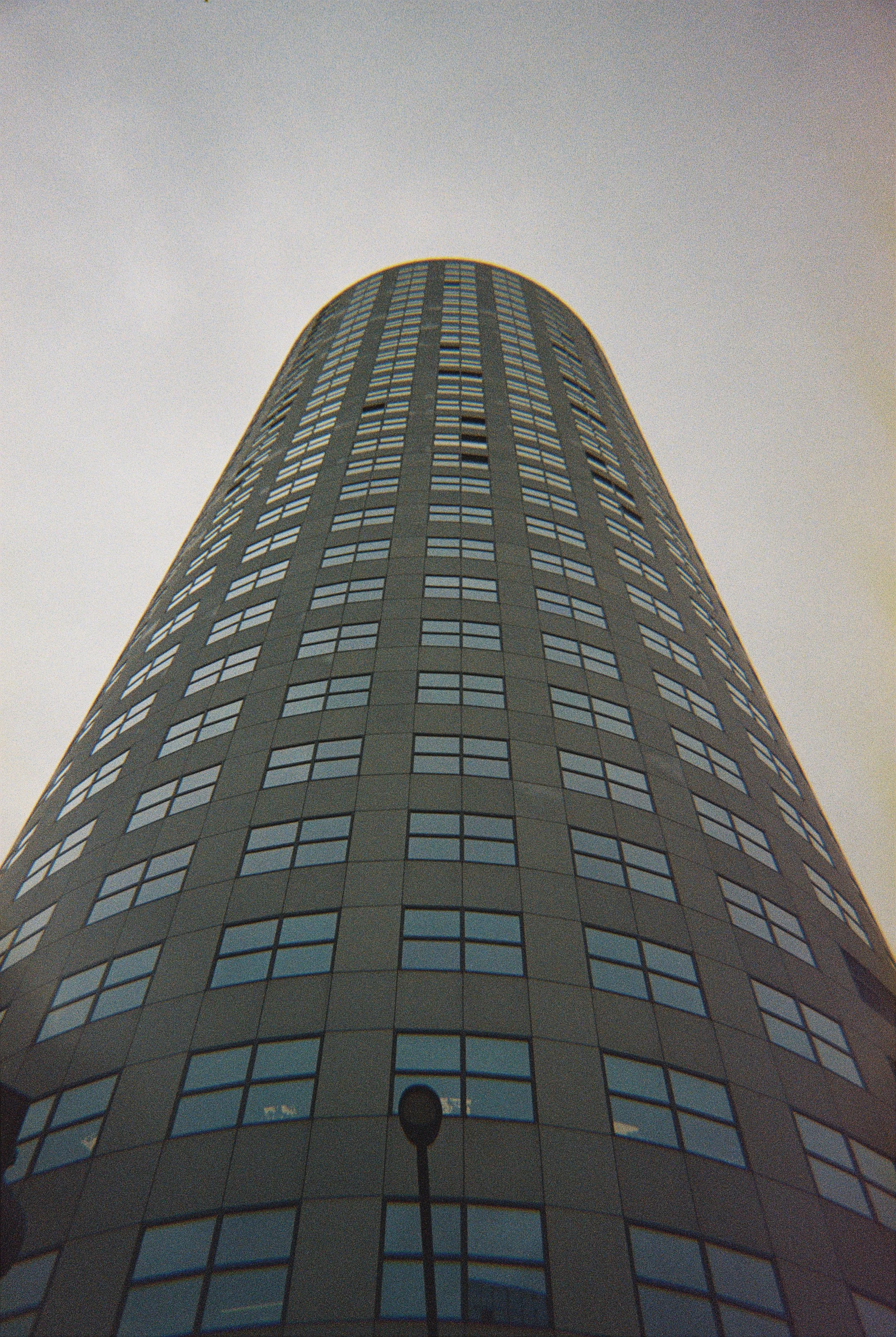 Low IQ - 1 - Rotterdam, 2024