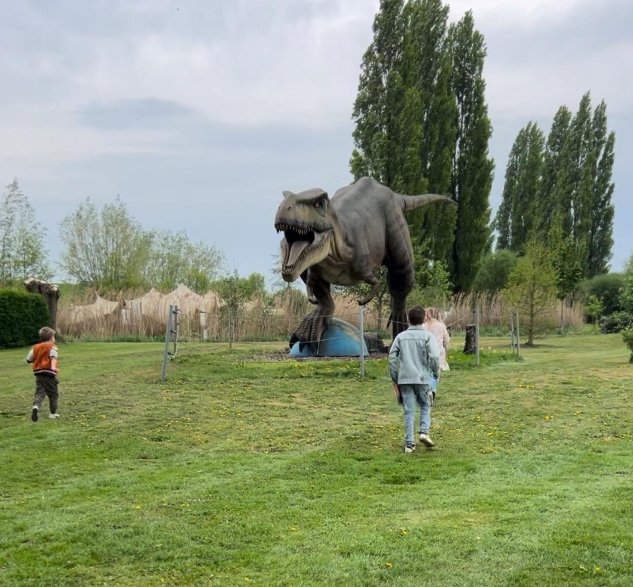dino 3.jpg