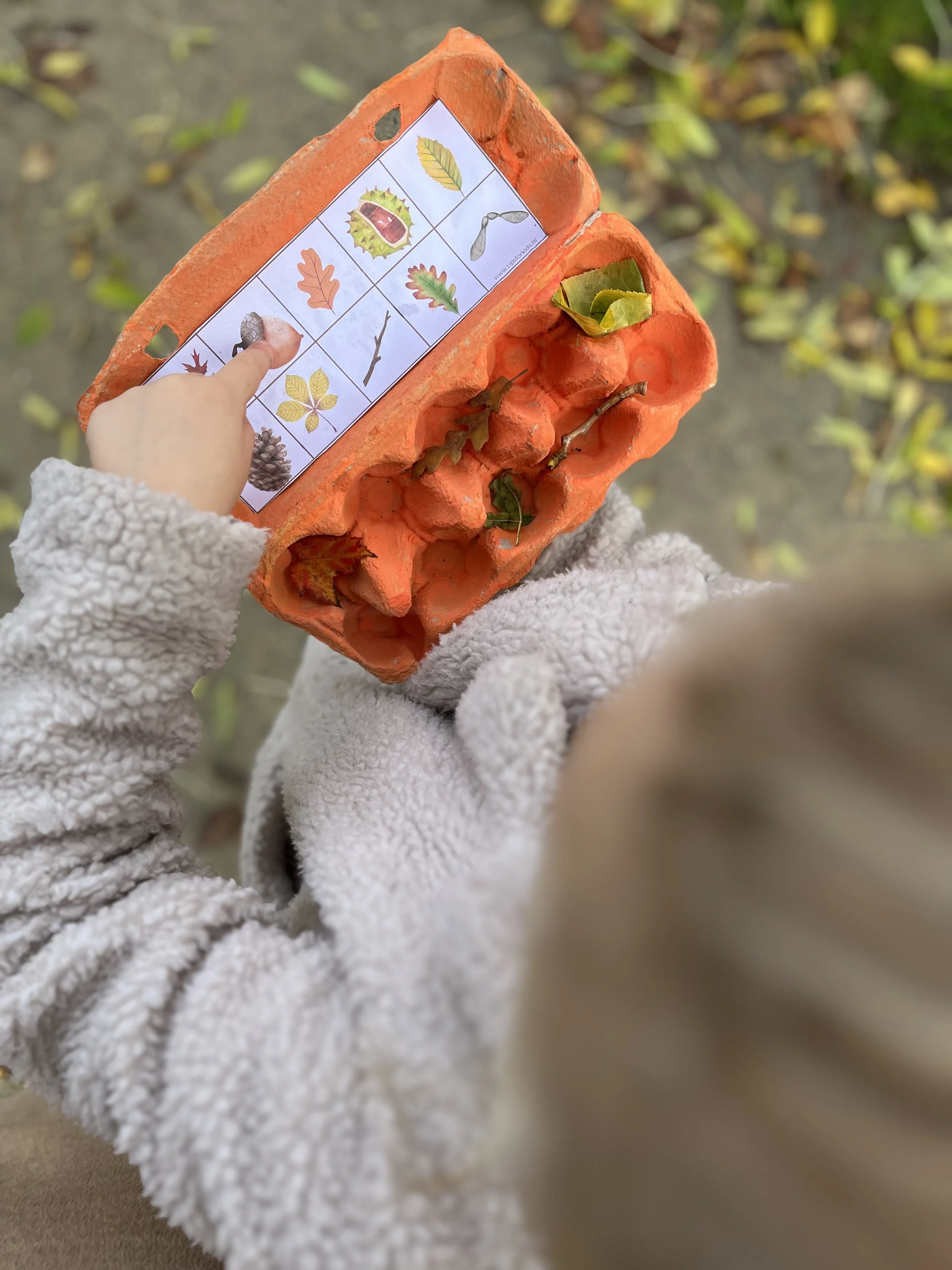 De leukste kinderactiviteiten in de Herfst | gratis printable