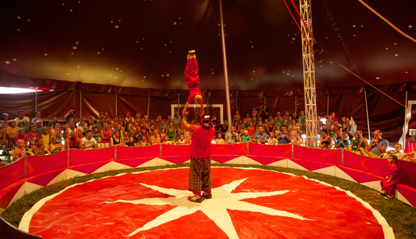 Schermafbeelding 2026-02-03 094438.png