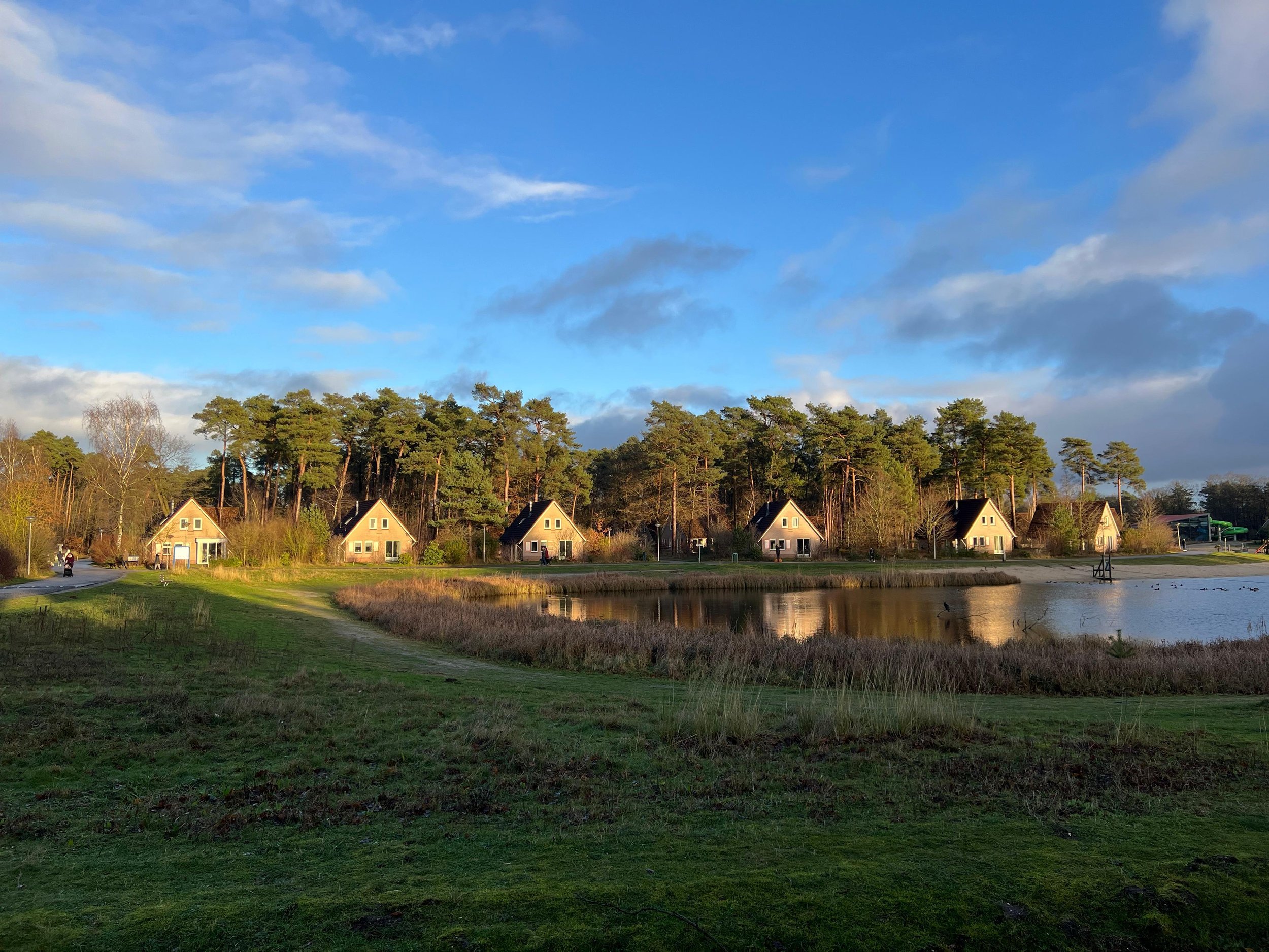 Afbeelding van WhatsApp op 2025-01-05 om 17.04.03_d909b1fe.jpg