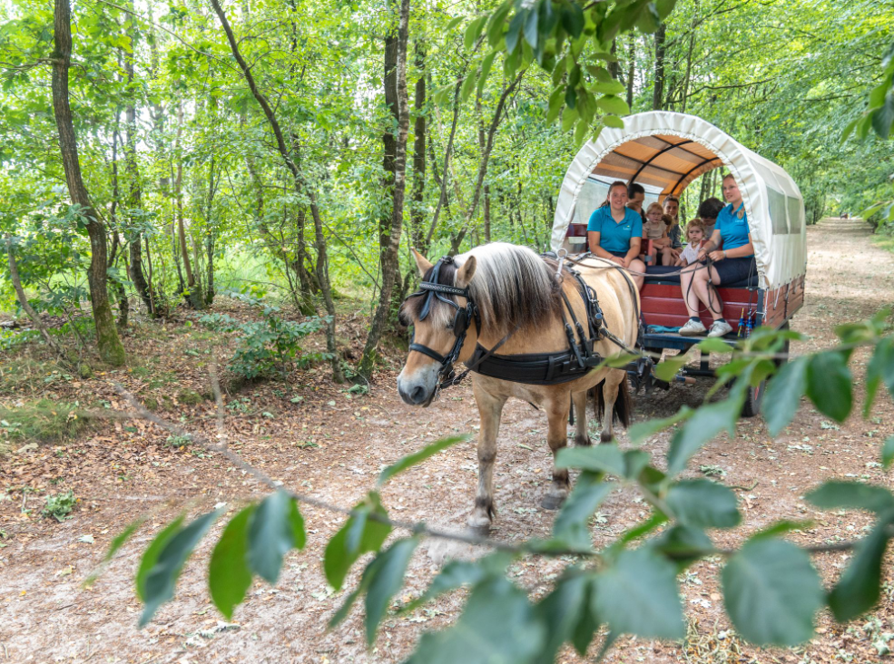 Schermafbeelding 2026-03-04 113549.png