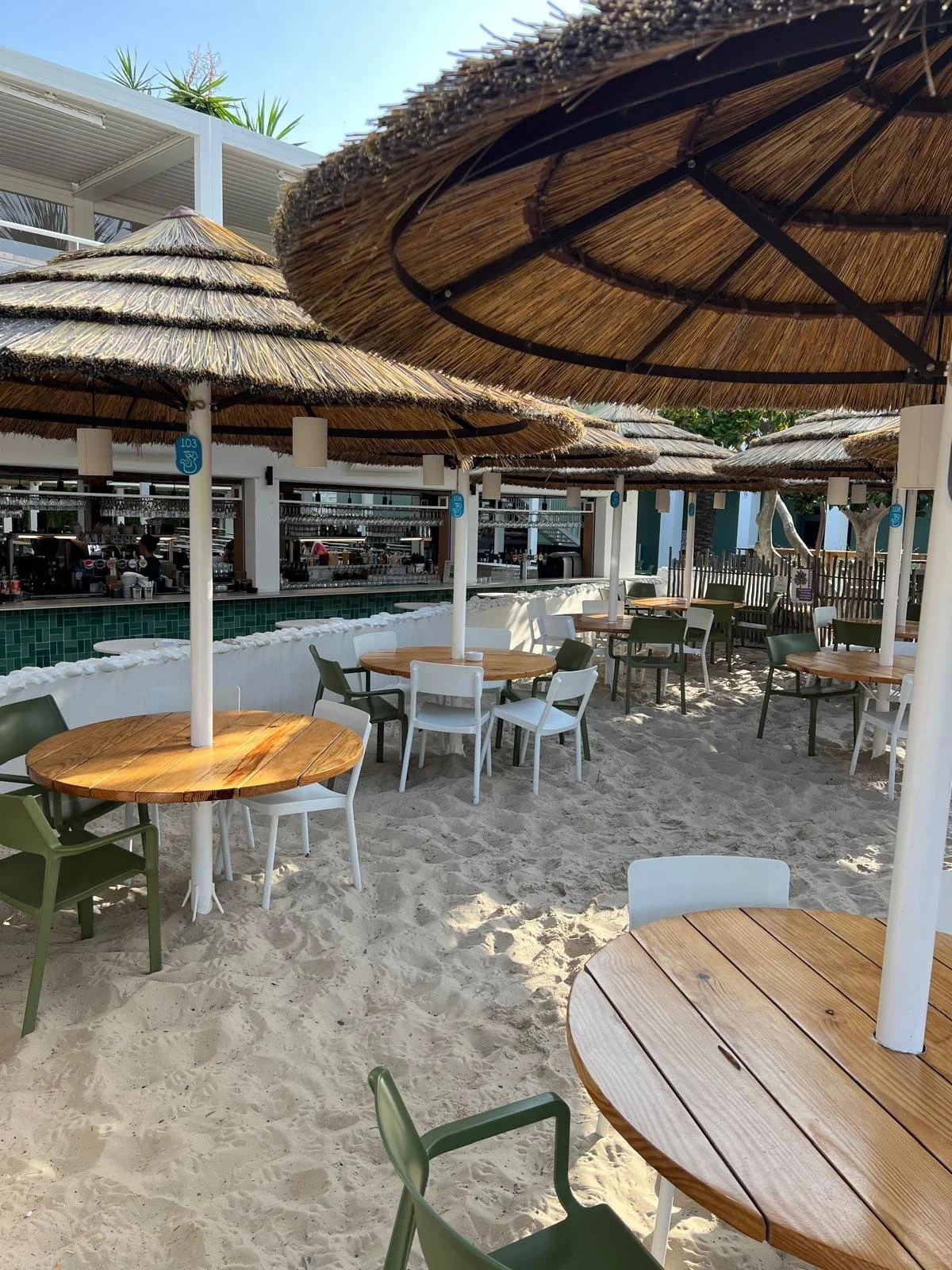 beachbar.jpeg