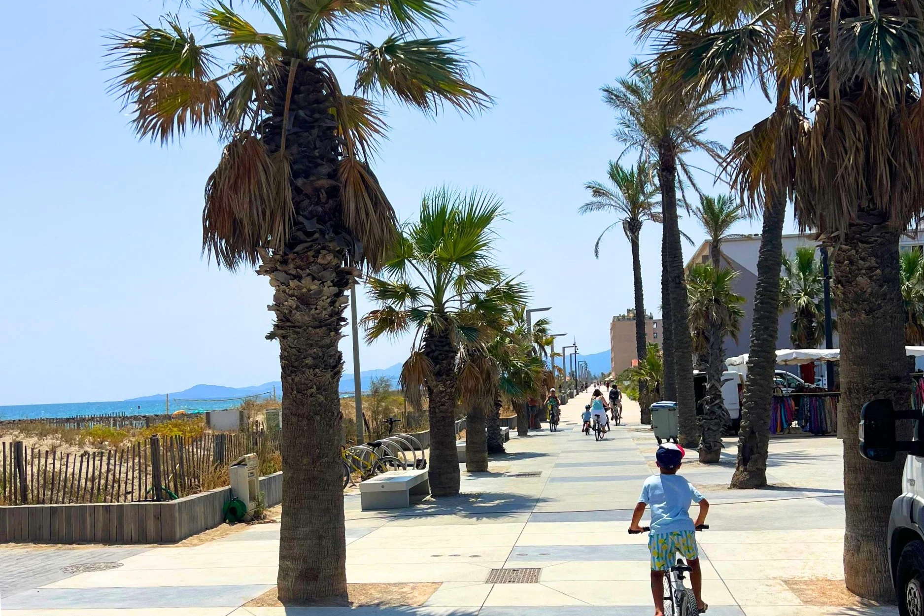 saint cyprien boulevard.jpg