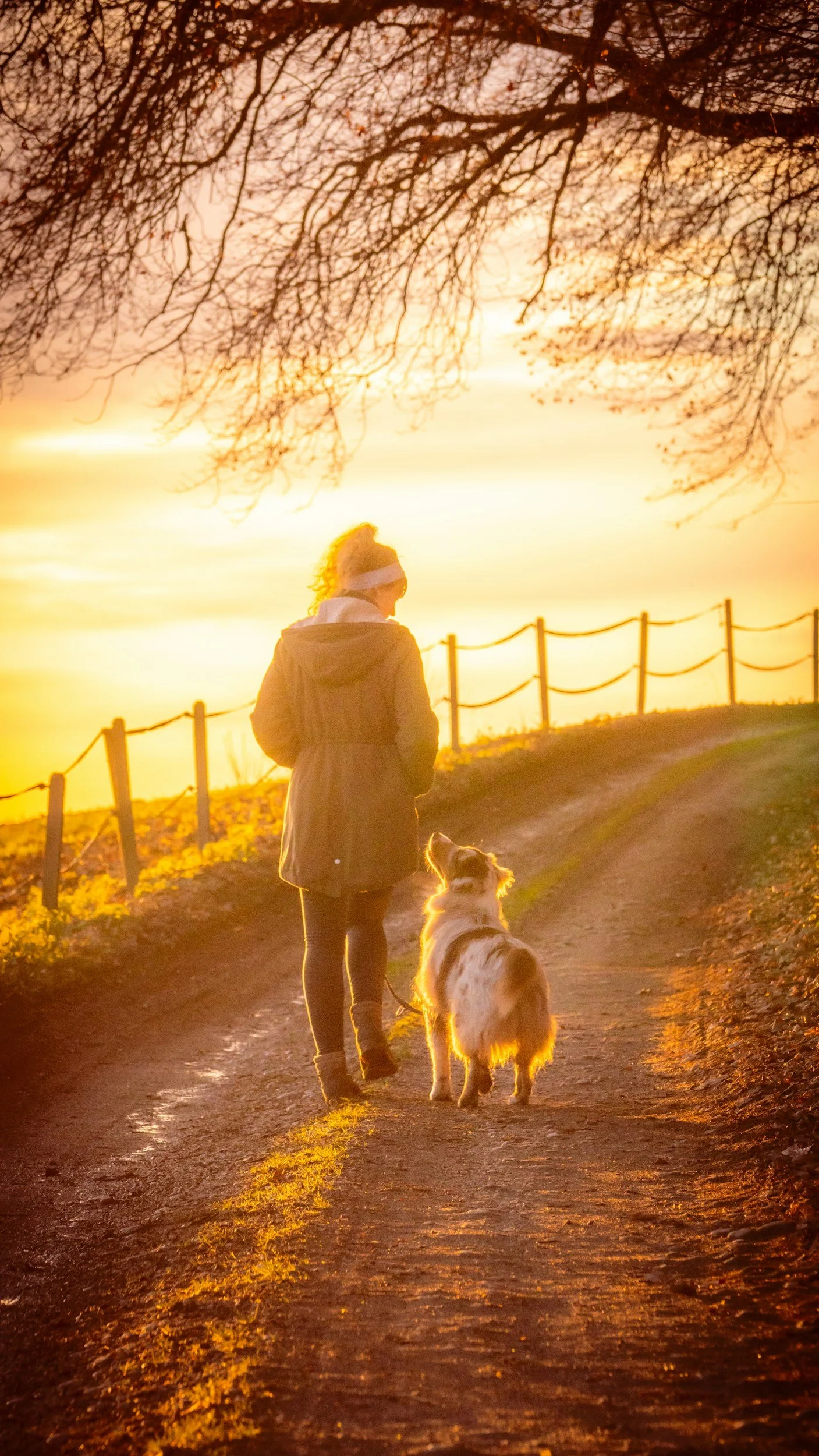 Vrouw loopt met hond naast zich in de avondschemer op een pad aan de rand van het bos