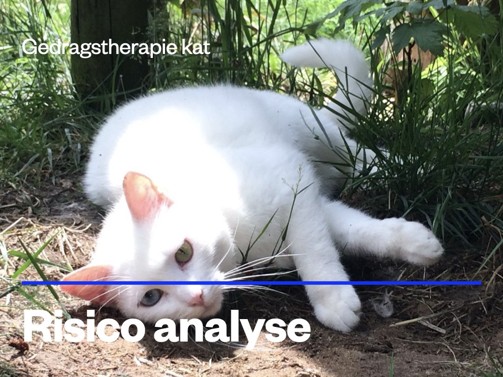 Risico analyse kat.jpeg