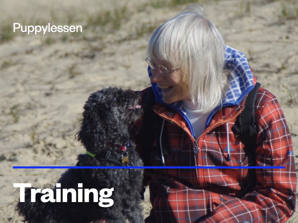 Puppy training.jpeg
