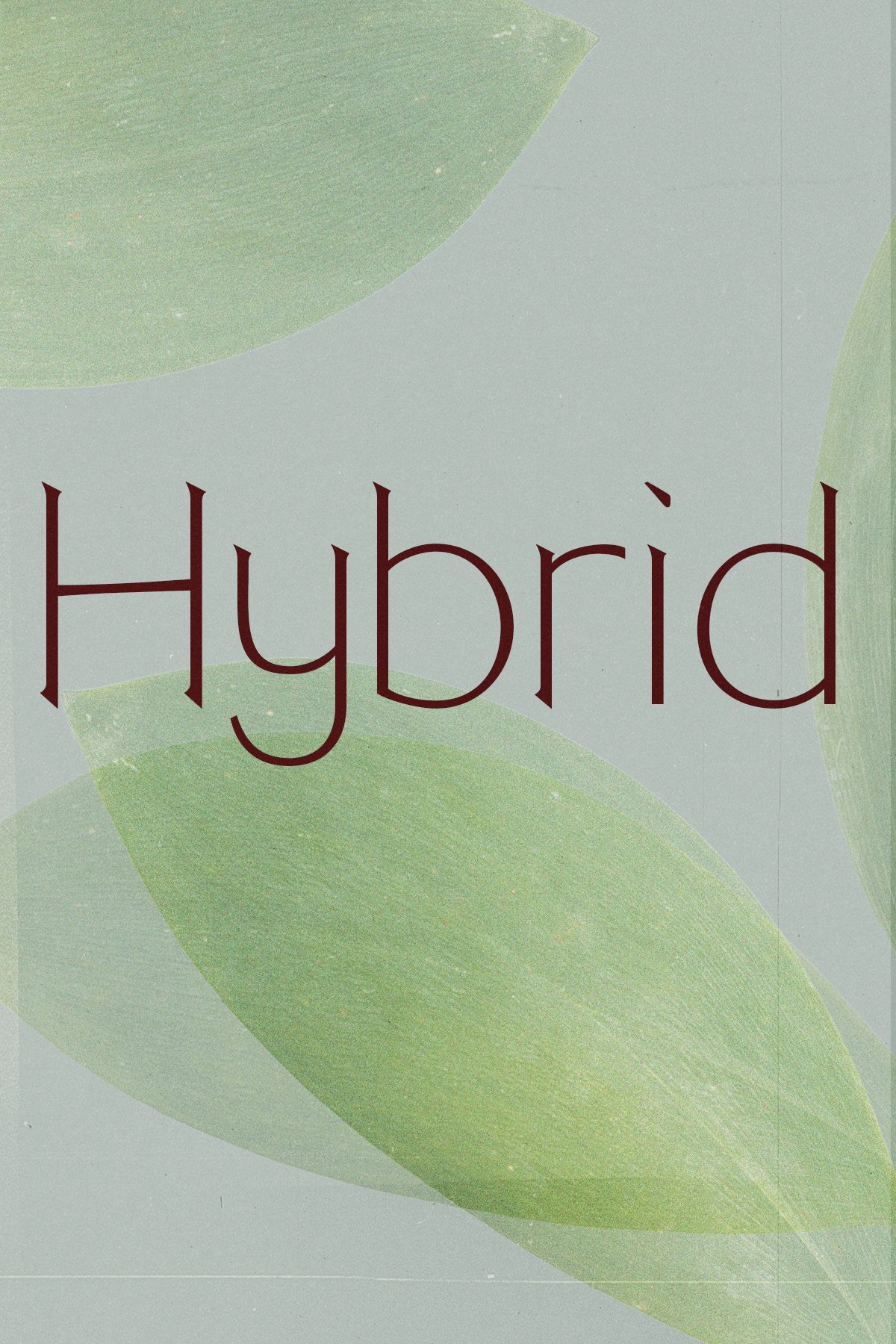  Alice Chen,   Hybrid    