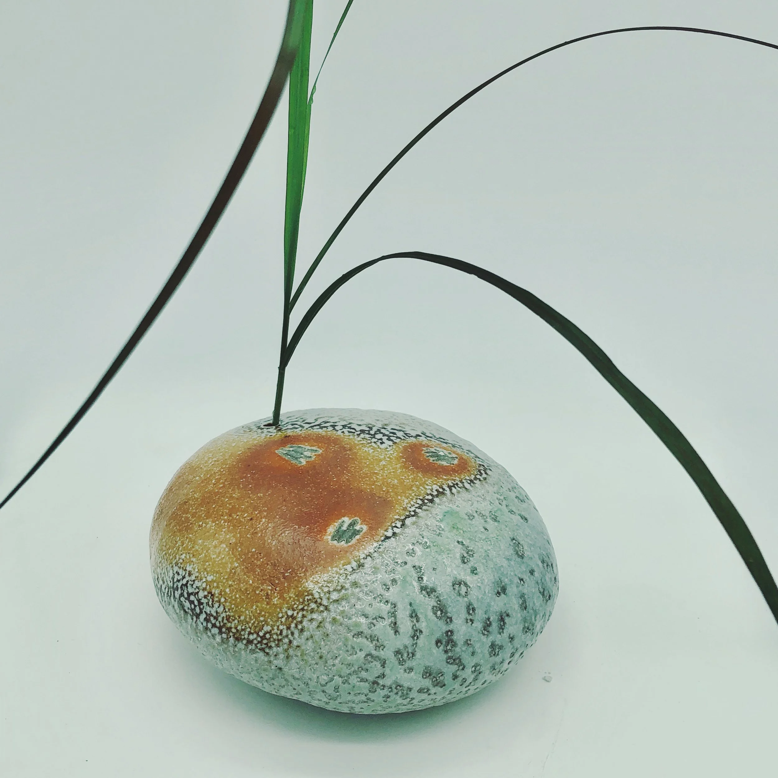 An image of the Cultural Center.