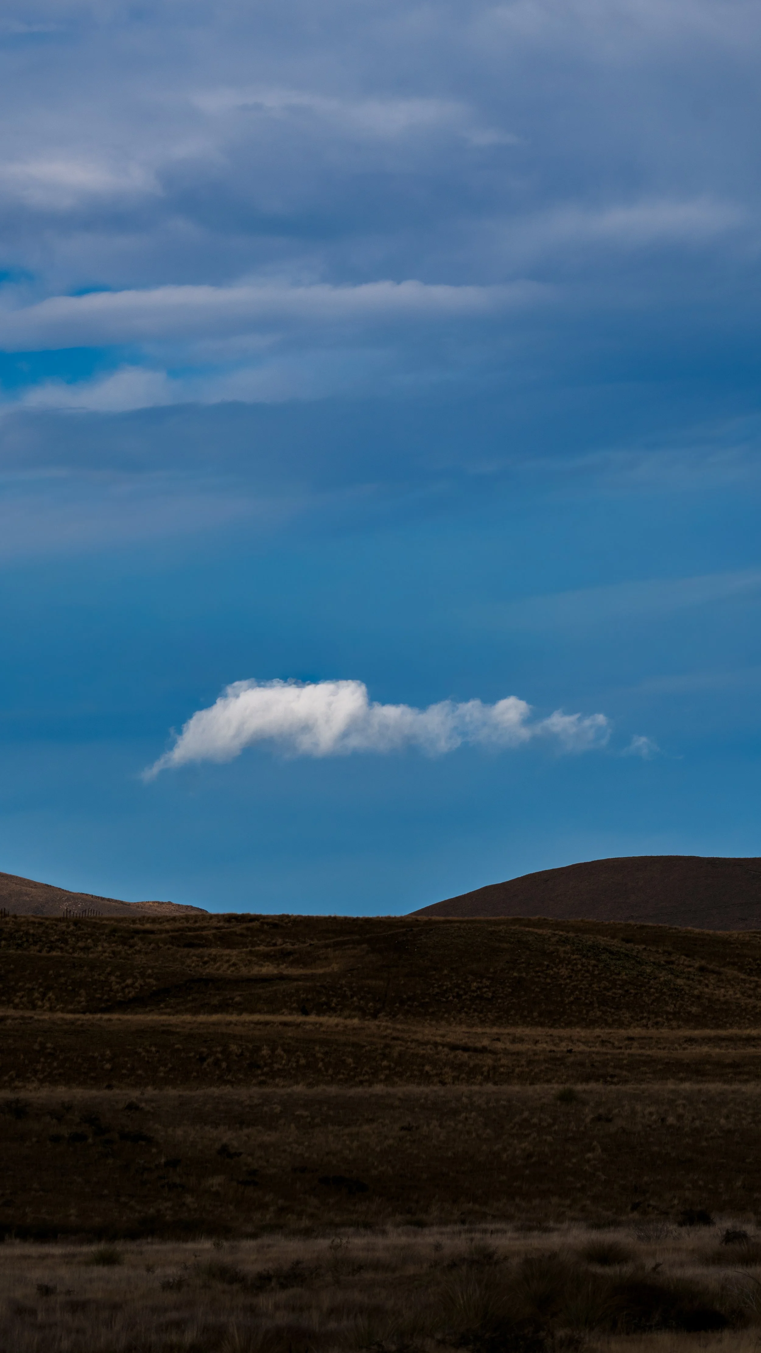 NZ26-MtGuy-1.jpg