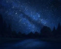 starry night.jpeg