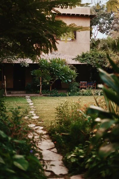 A garden with a stone pathway leading to a house, surrounded by lush green plants and trees during daytime.