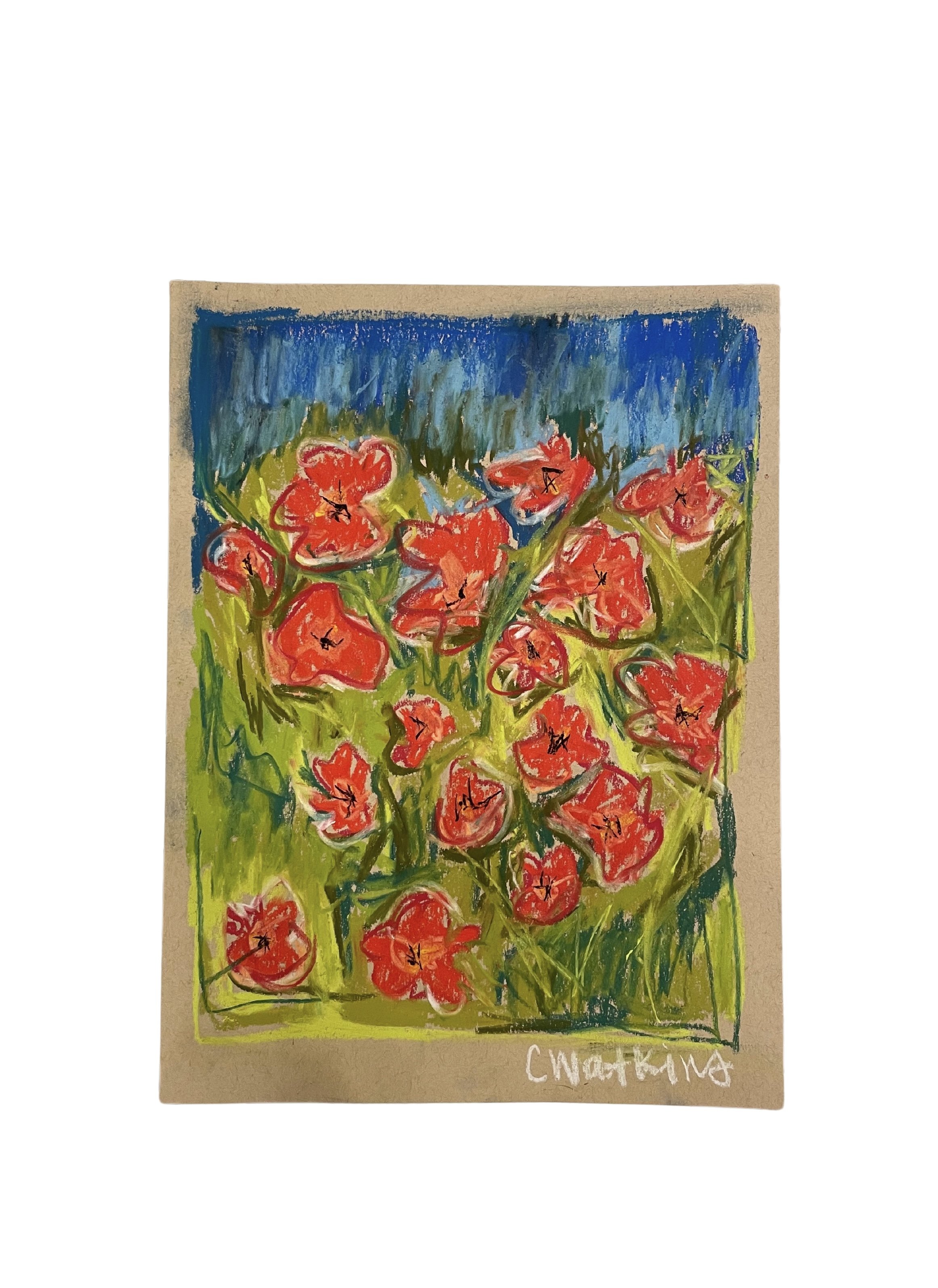 Poppy Field