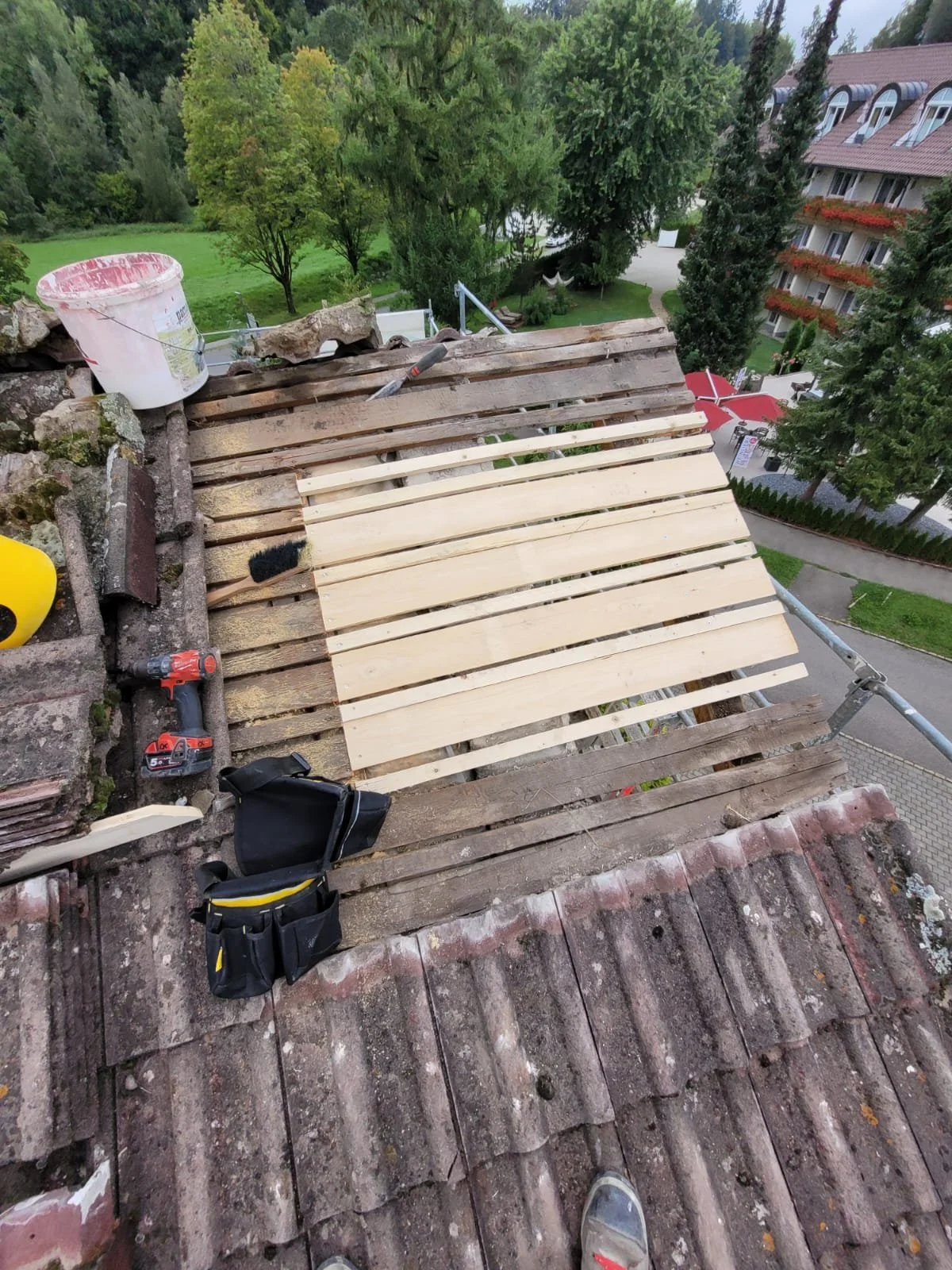 WhatsApp Image 2024-08-20 at 12.11.29 (1).jpeg