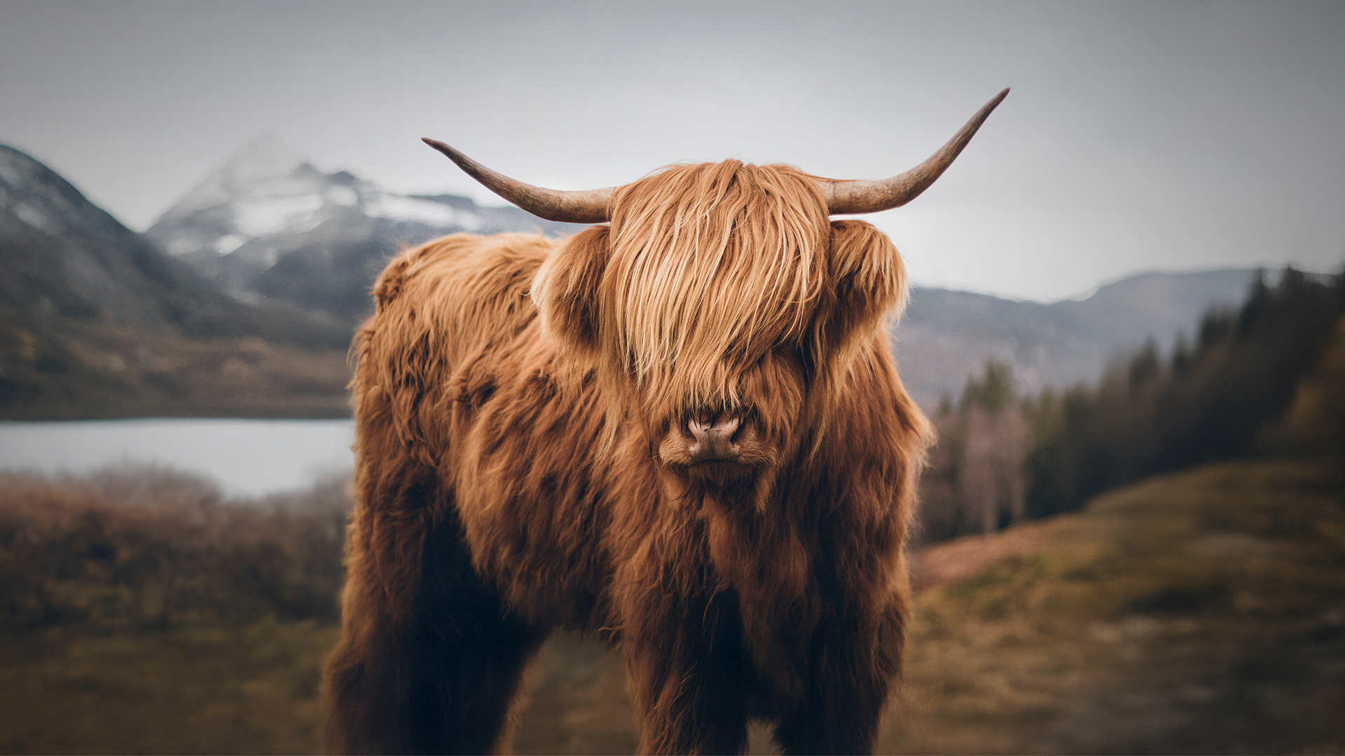 Aberdeen Investments