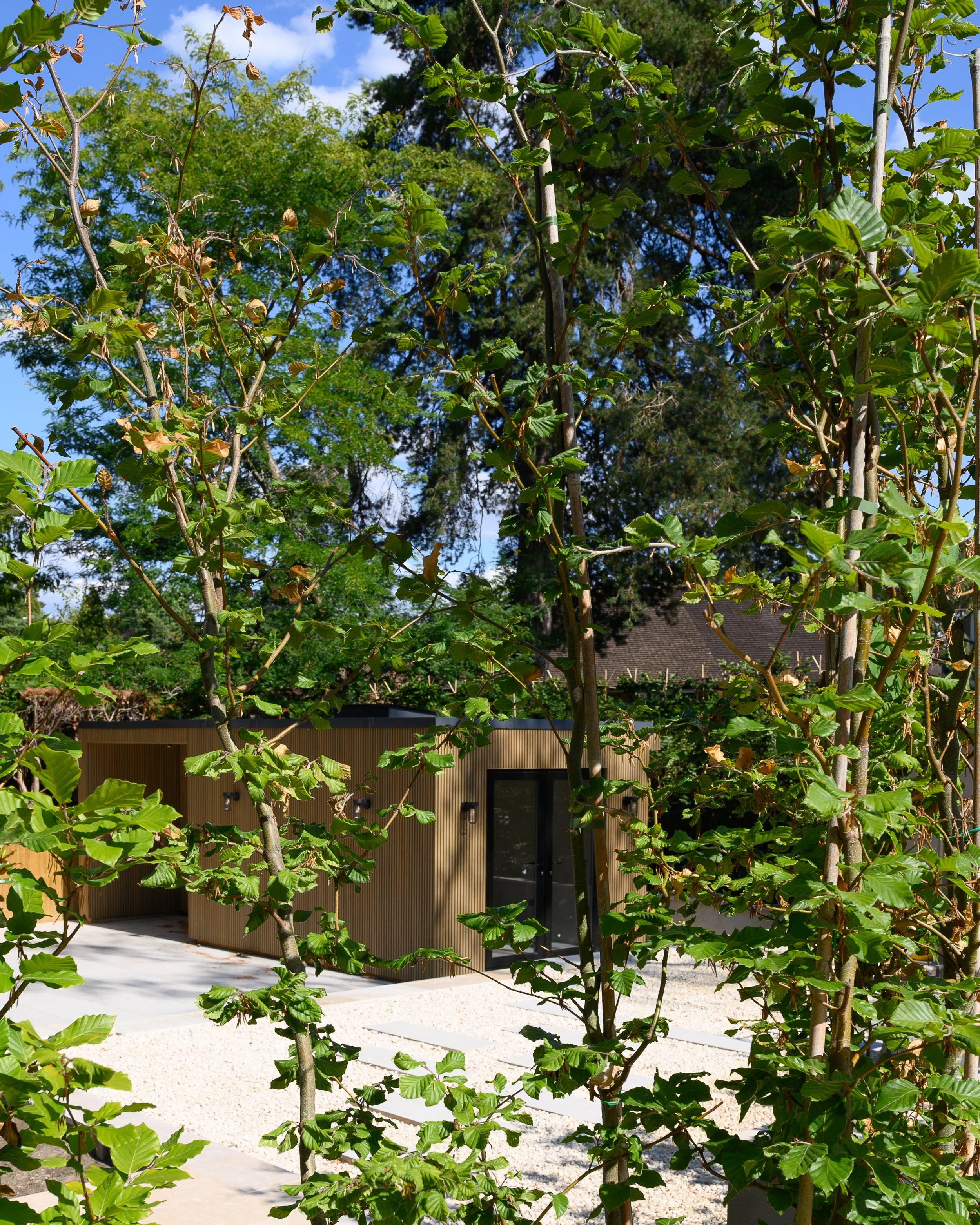 DSC_1394.jpg