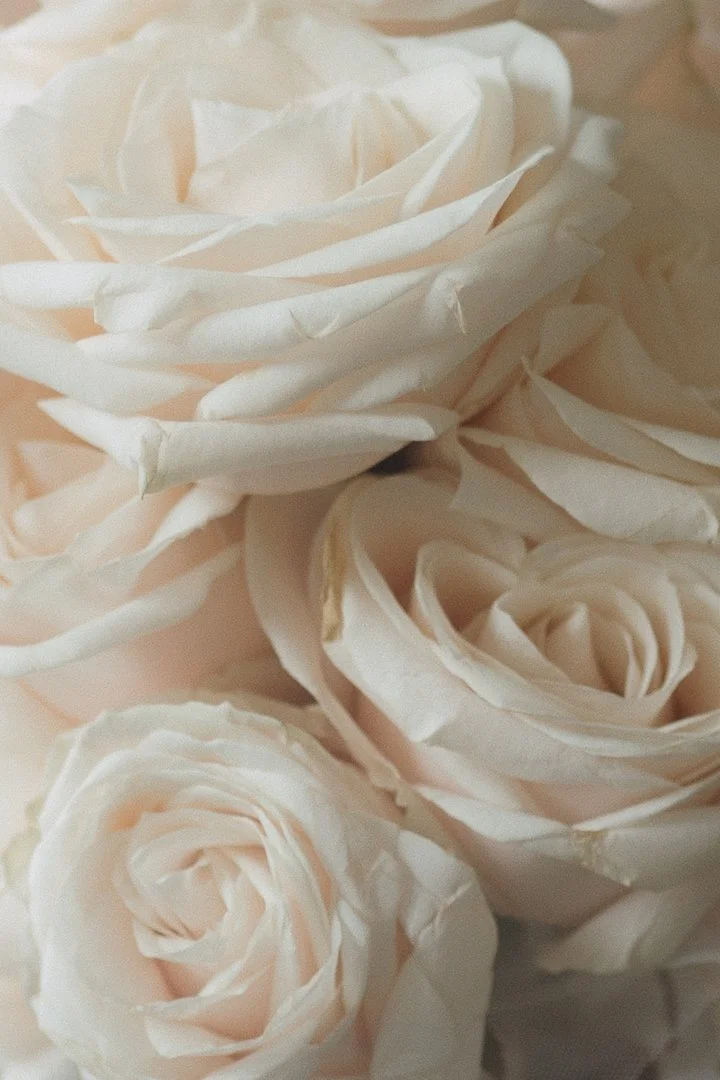 Cream roses of the bridal bouquet, close up
