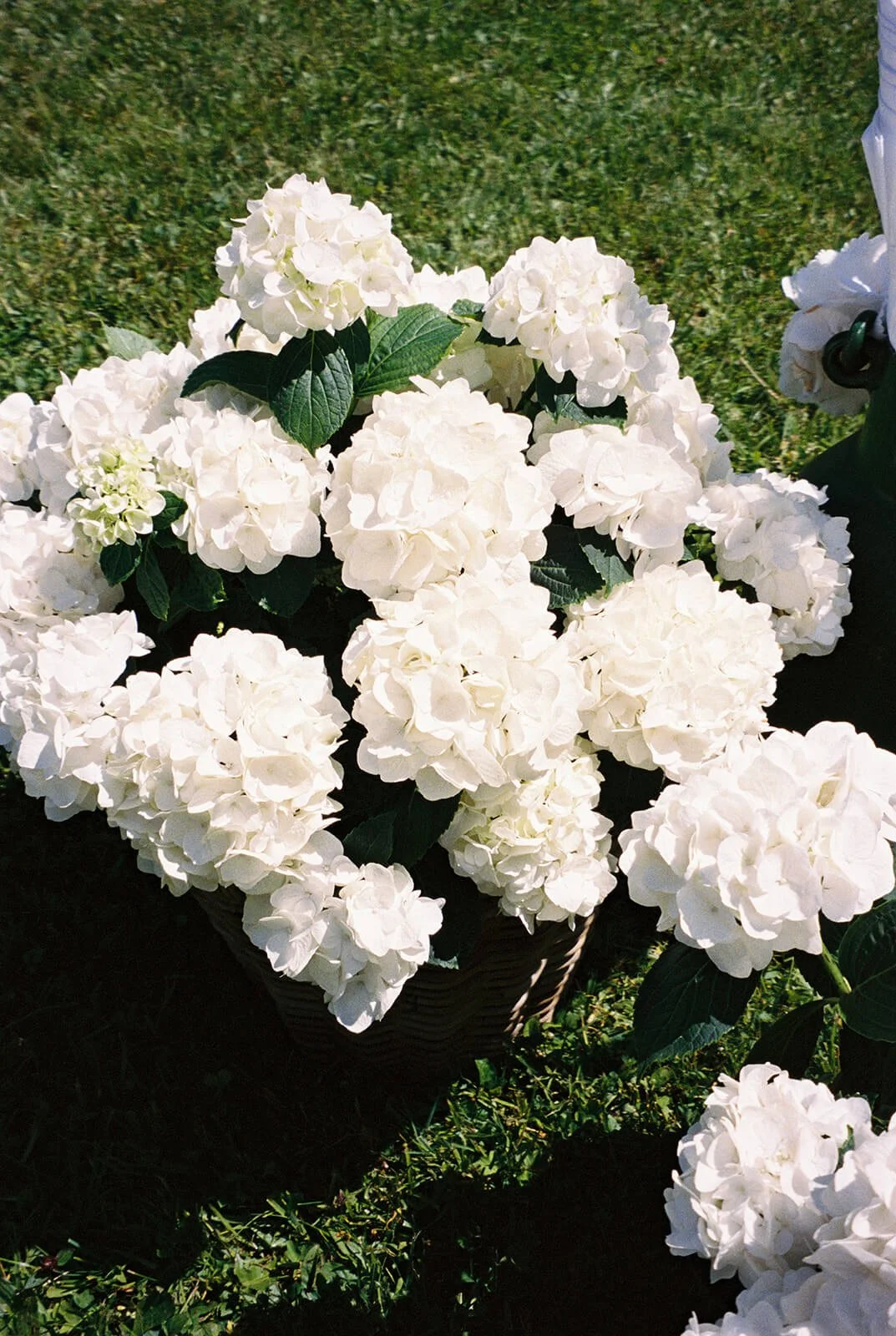 modern wedding photography combining digital and film.jpg