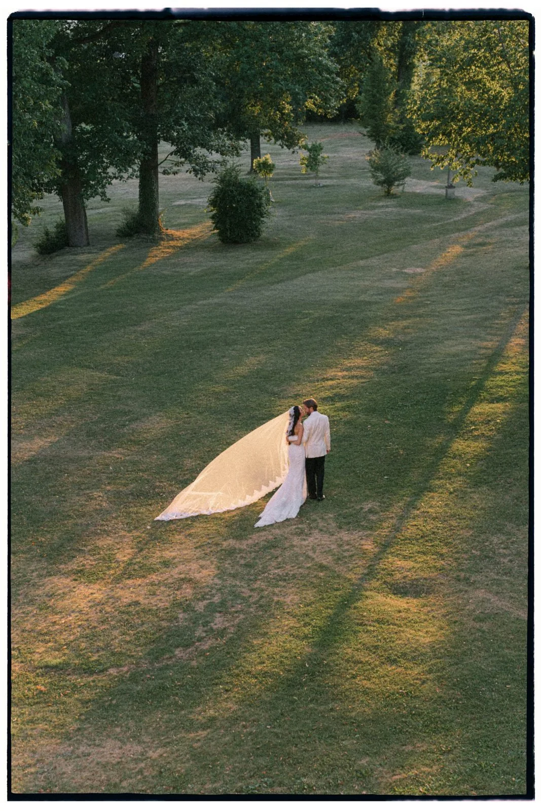 Analog film frame of a couple in a golden meadow at Schloss Jägersburg