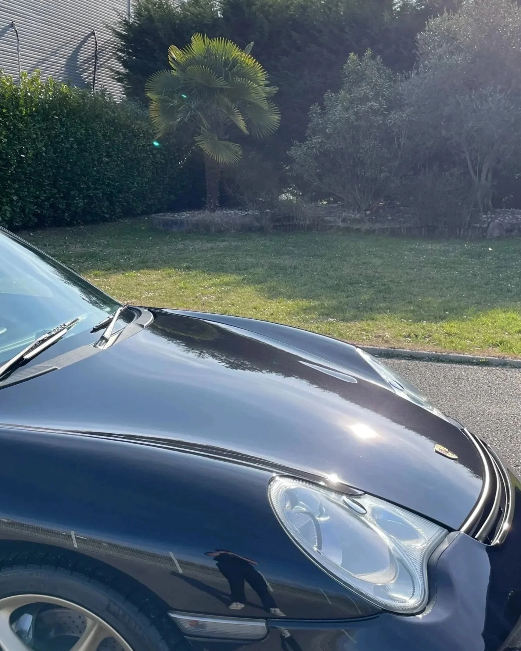Un détail de la partie avant d'une voiture noire garée sur le côté d'une route, avec un paysage de végétation en arrière-plan, sous la lumière du soleil.